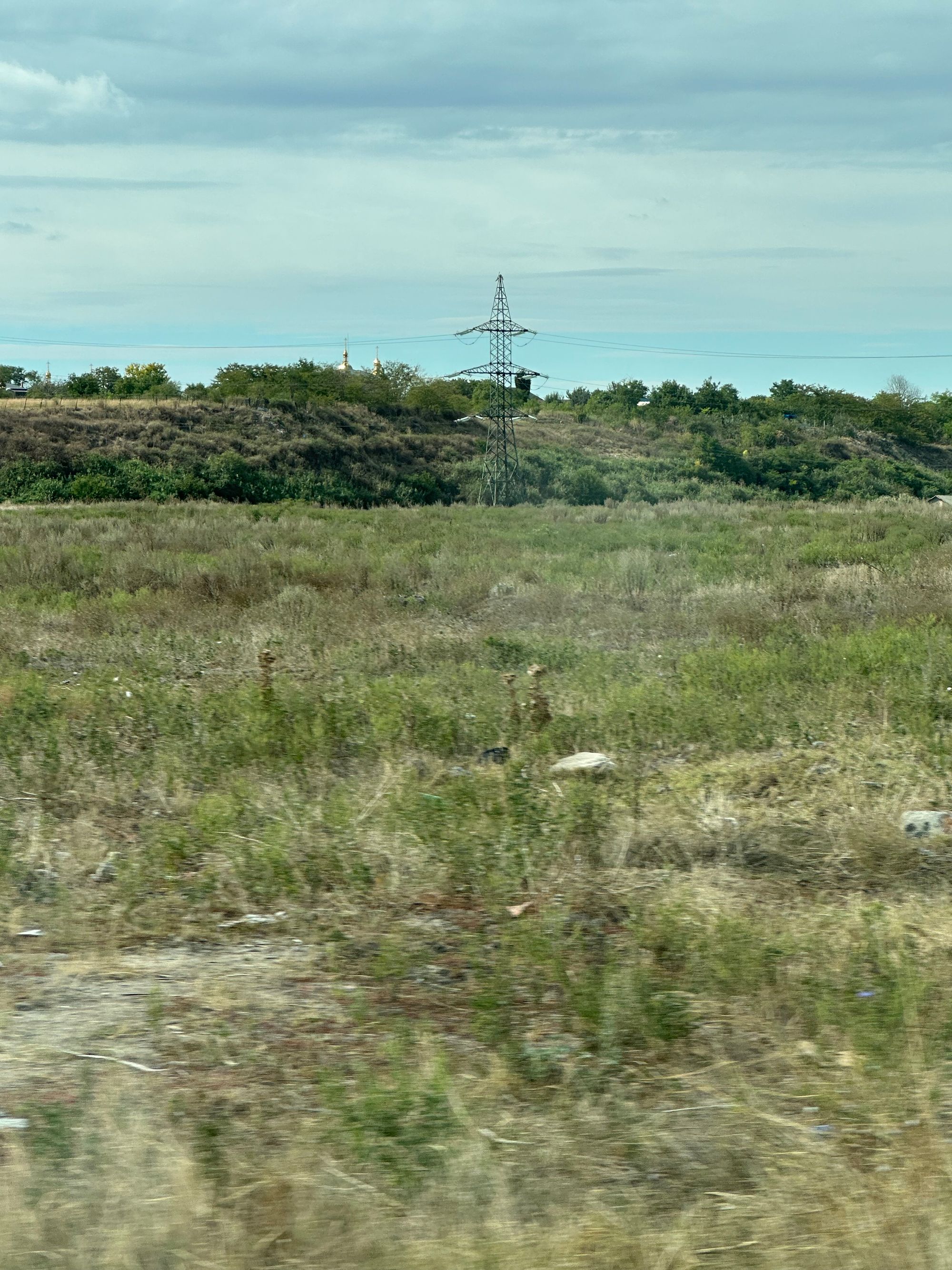 Ambrozie in Brăila, Județul Brăila - IMG_7096.jpeg