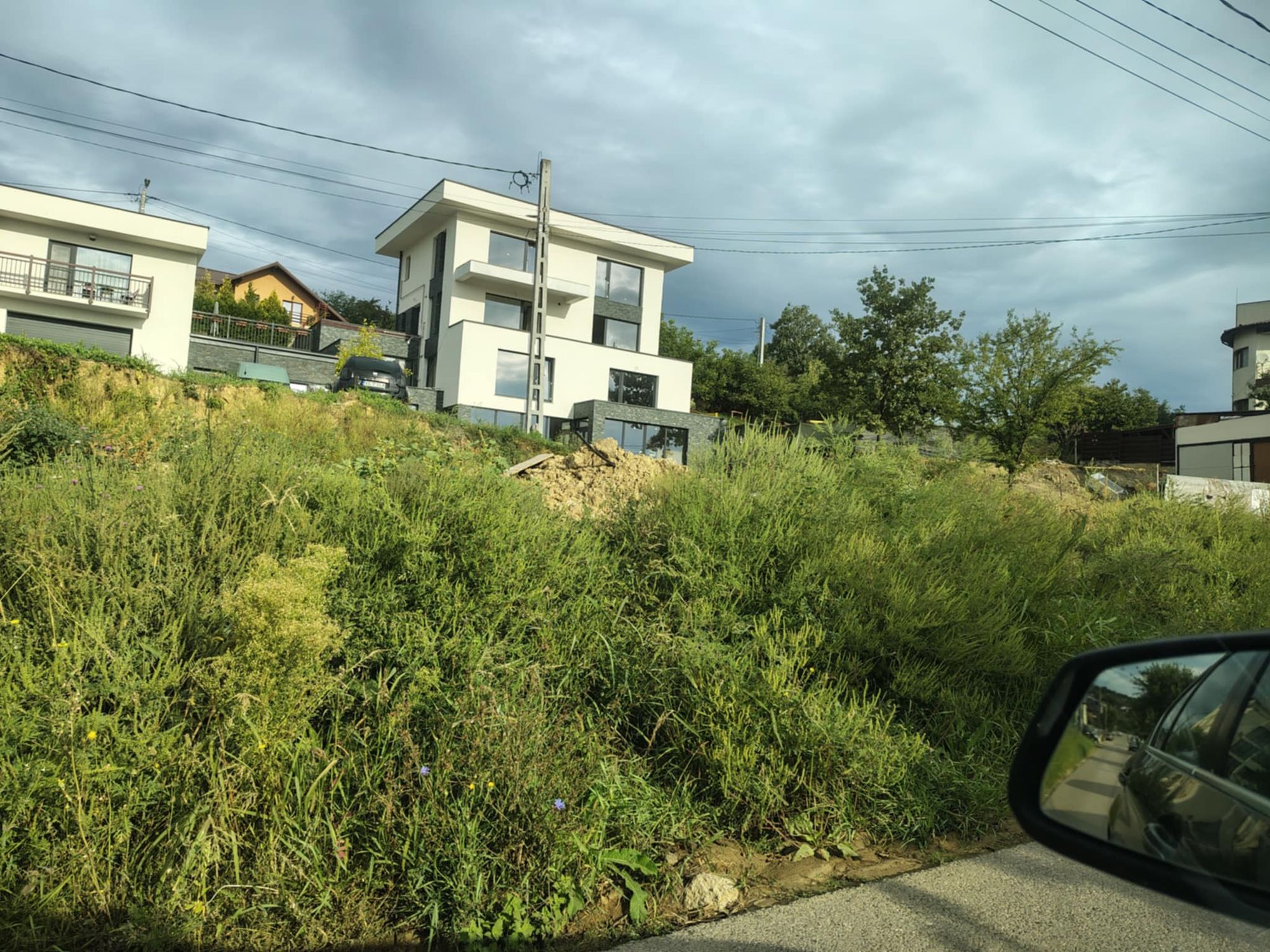 Ambrozie in Strada Ion Matei 31, Comuna Ciurea, Județul Iași