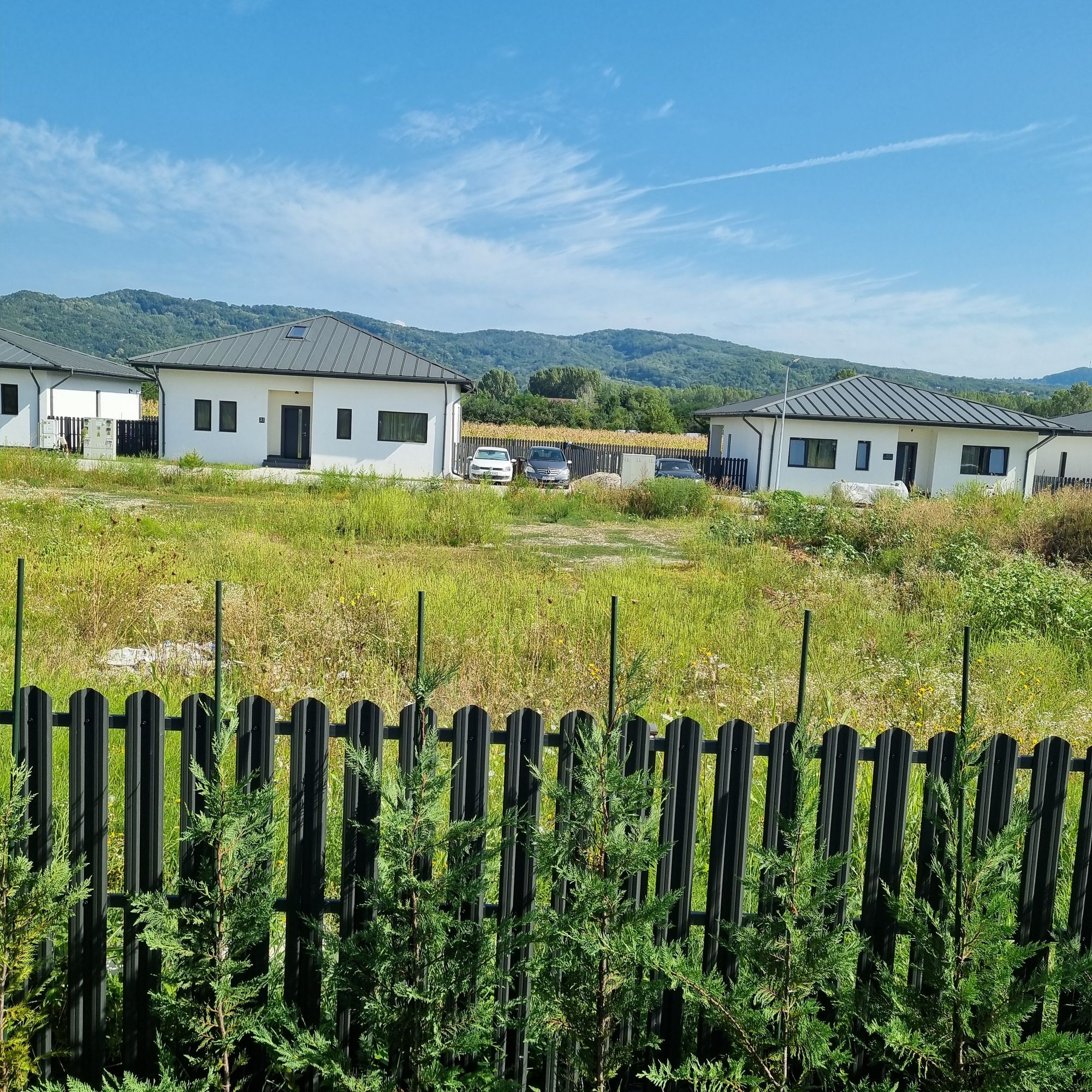 Ambrozie in Apusului 6, Bujoreni, Comuna Bujoreni, Județul Vâlcea - 1000040781.jpg