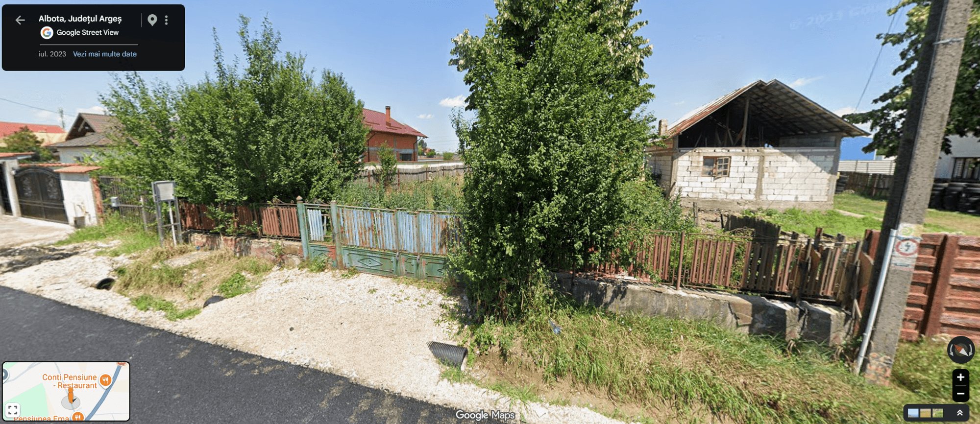 Ambrozie in Strada Bioboesti, 623, DN65 444, Albota, Comuna Albota, Județul Argeș - ambrozie 2.png