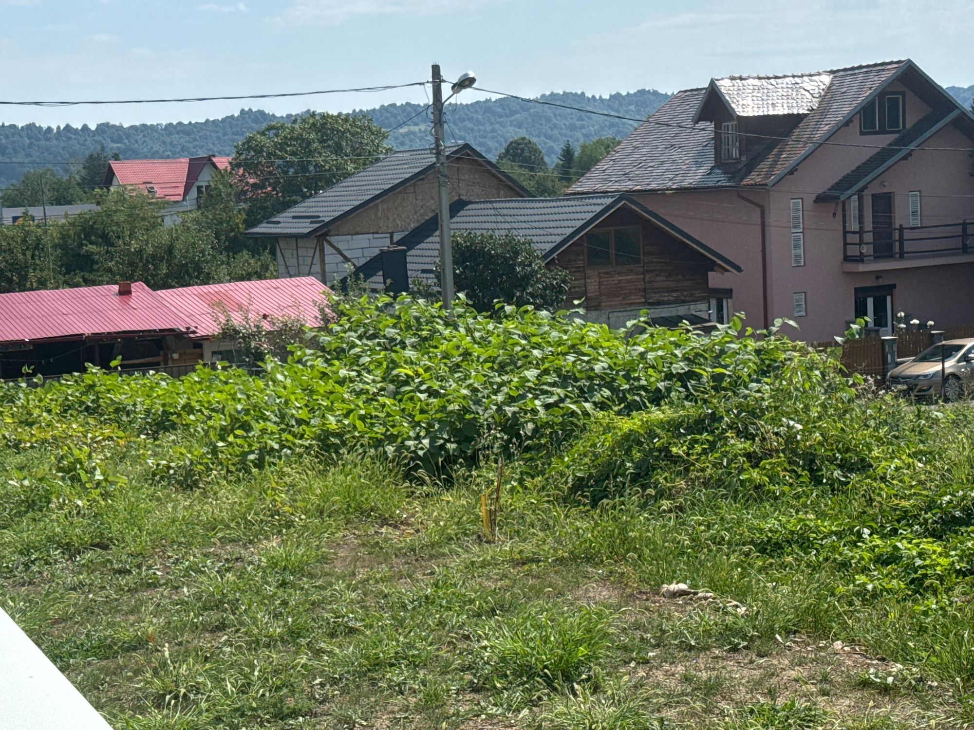 Ambrozie in Strada Fagilor 7, Breaza de Sus, Oraș Breaza, Județul Prahova