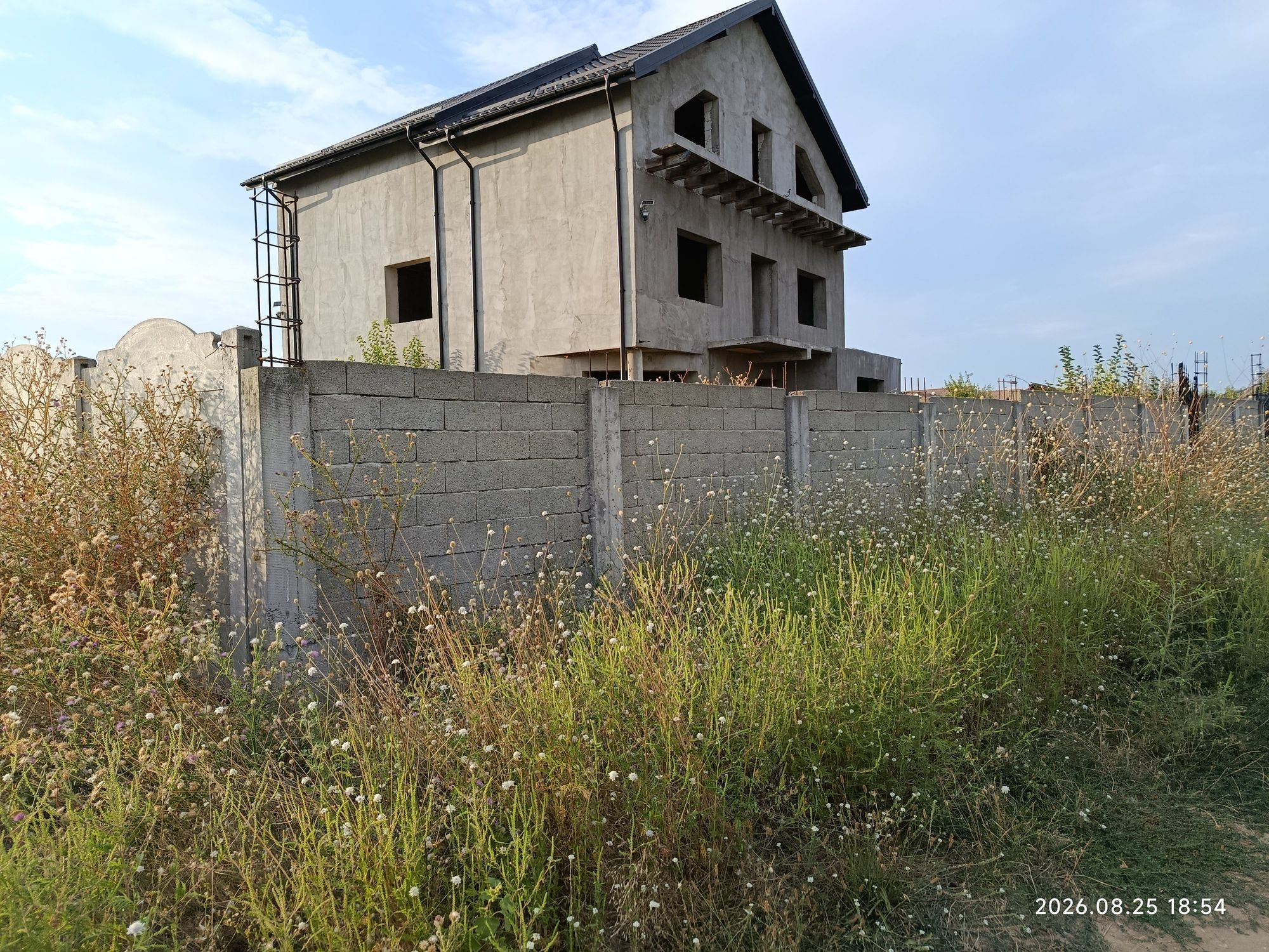 Ambrozie in Strada Micsunelelor, Dolj, Comuna Malu Mare, Județul Dolj