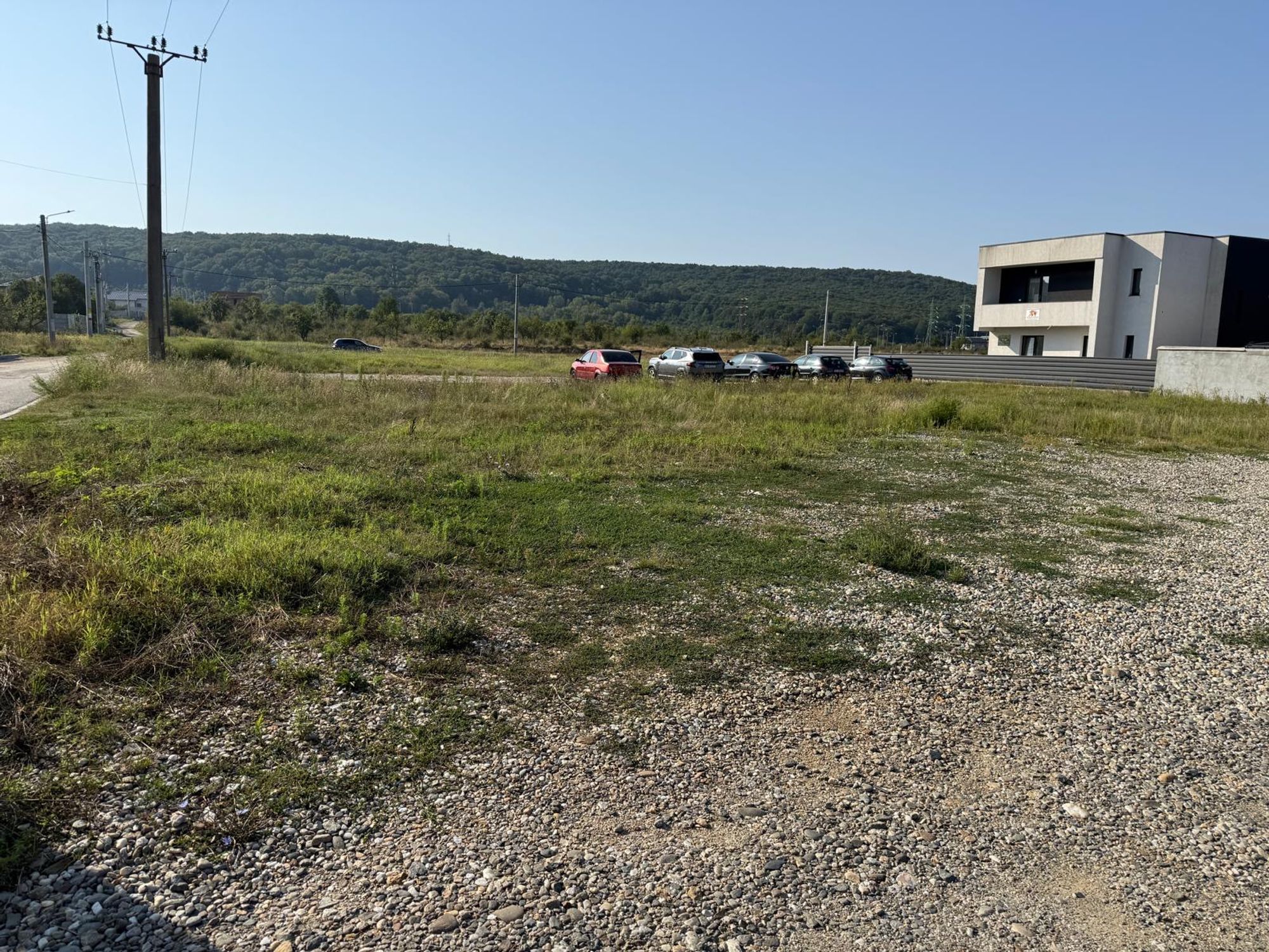 Ambrozie in Strada Egalitaţii 12a, Mioveni, Oraș Mioveni, Județul Argeș
