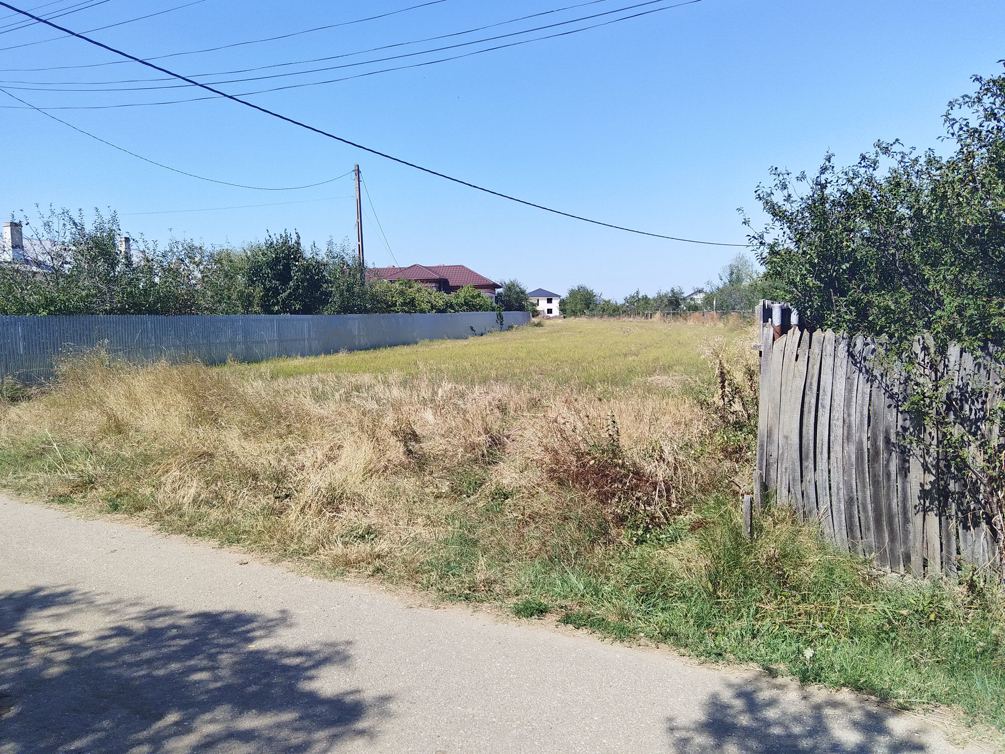 Ambrozie in Strada Izlaz 2, Bradu, Comuna Bradu, Județul Argeș - inbound20426112192223197.jpg