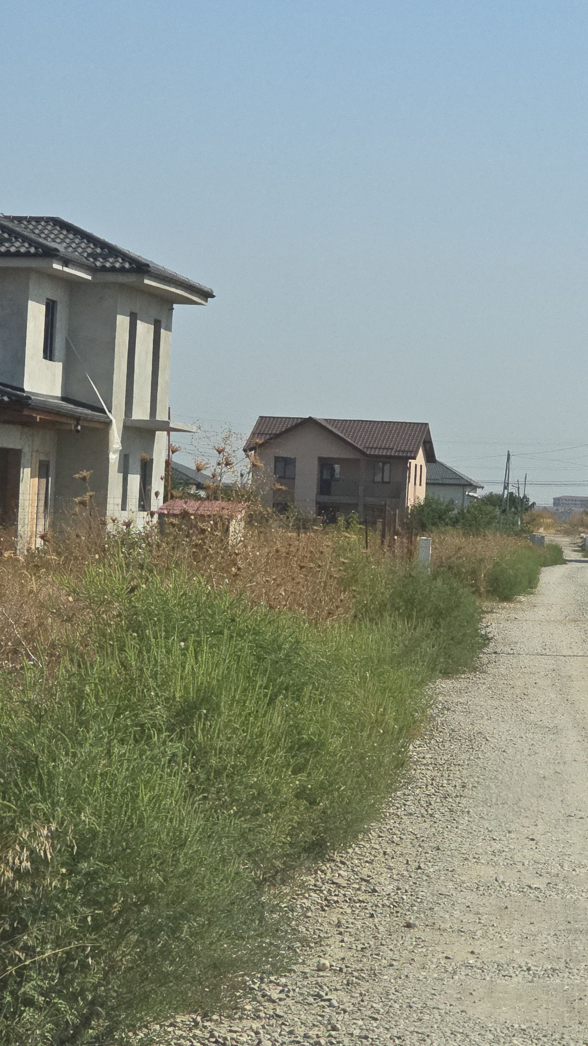 Ambrozie in Strada Orhideei 143, Olteni, Comuna Clinceni, Județul Ilfov - IMG-20250909-WA0003.jpeg