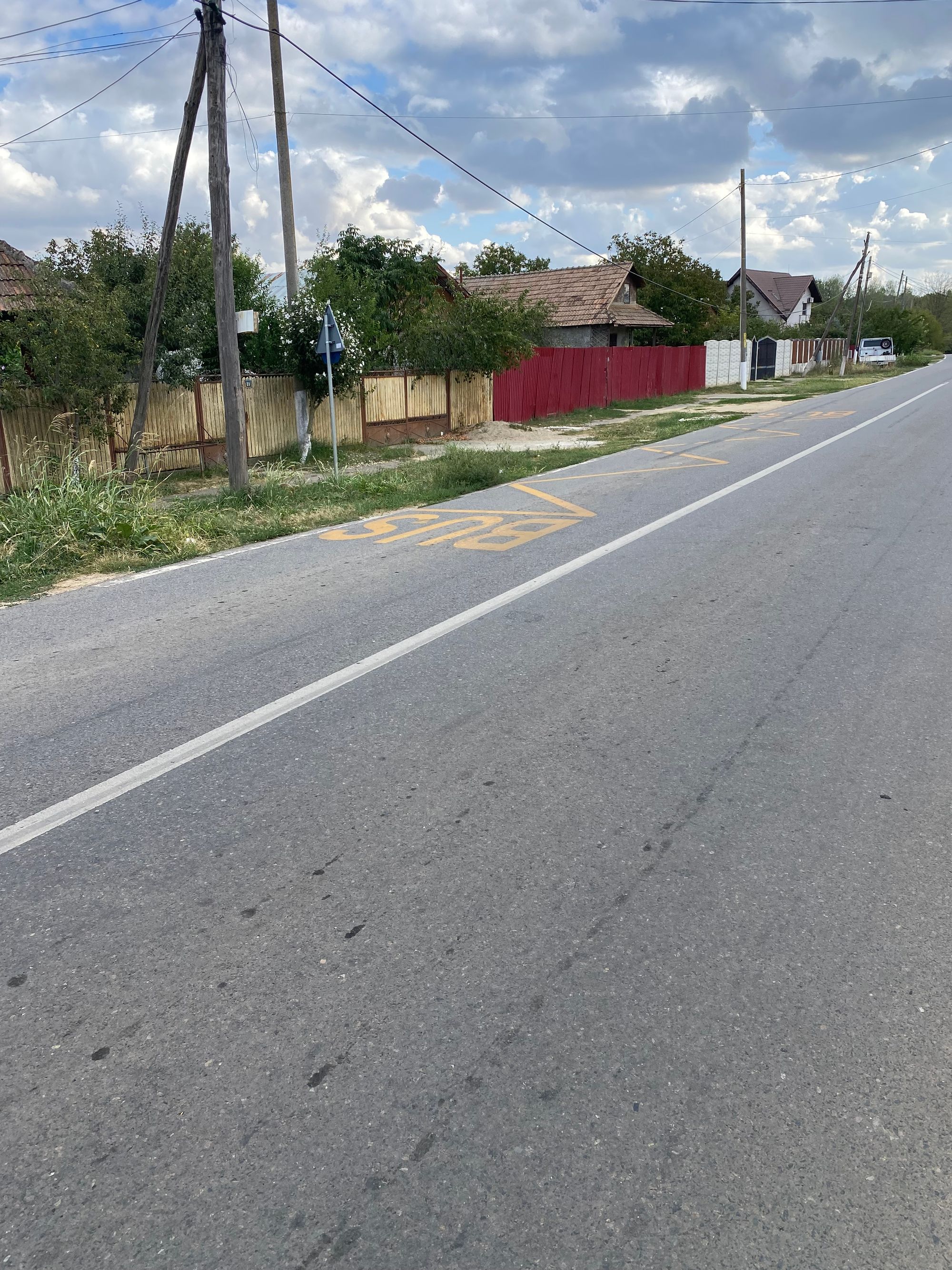 Ambrozie in Șoseaua Mânăstirea Căldărușani 114, Lipia, Comuna Gruiu, Județul Ilfov - IMG_1579.jpeg