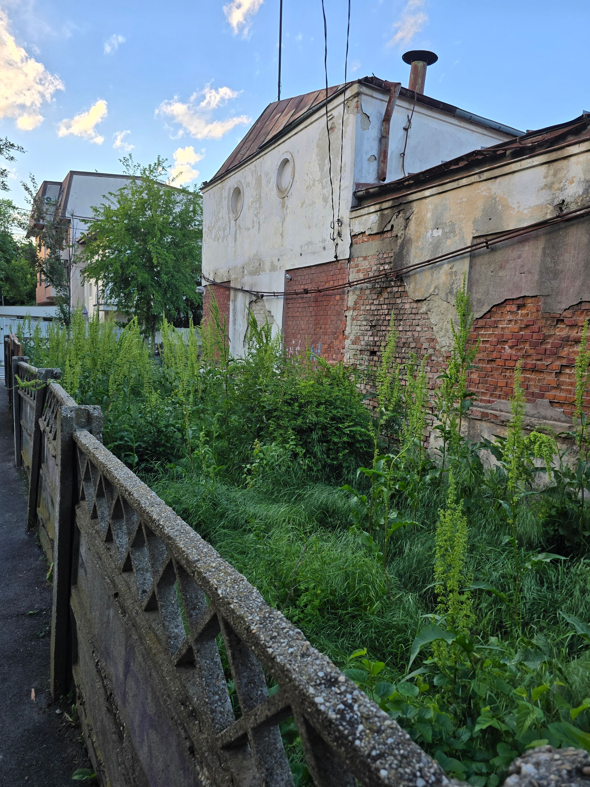 Ambrozie in Strada Ardealului 17, București, Municipiul București