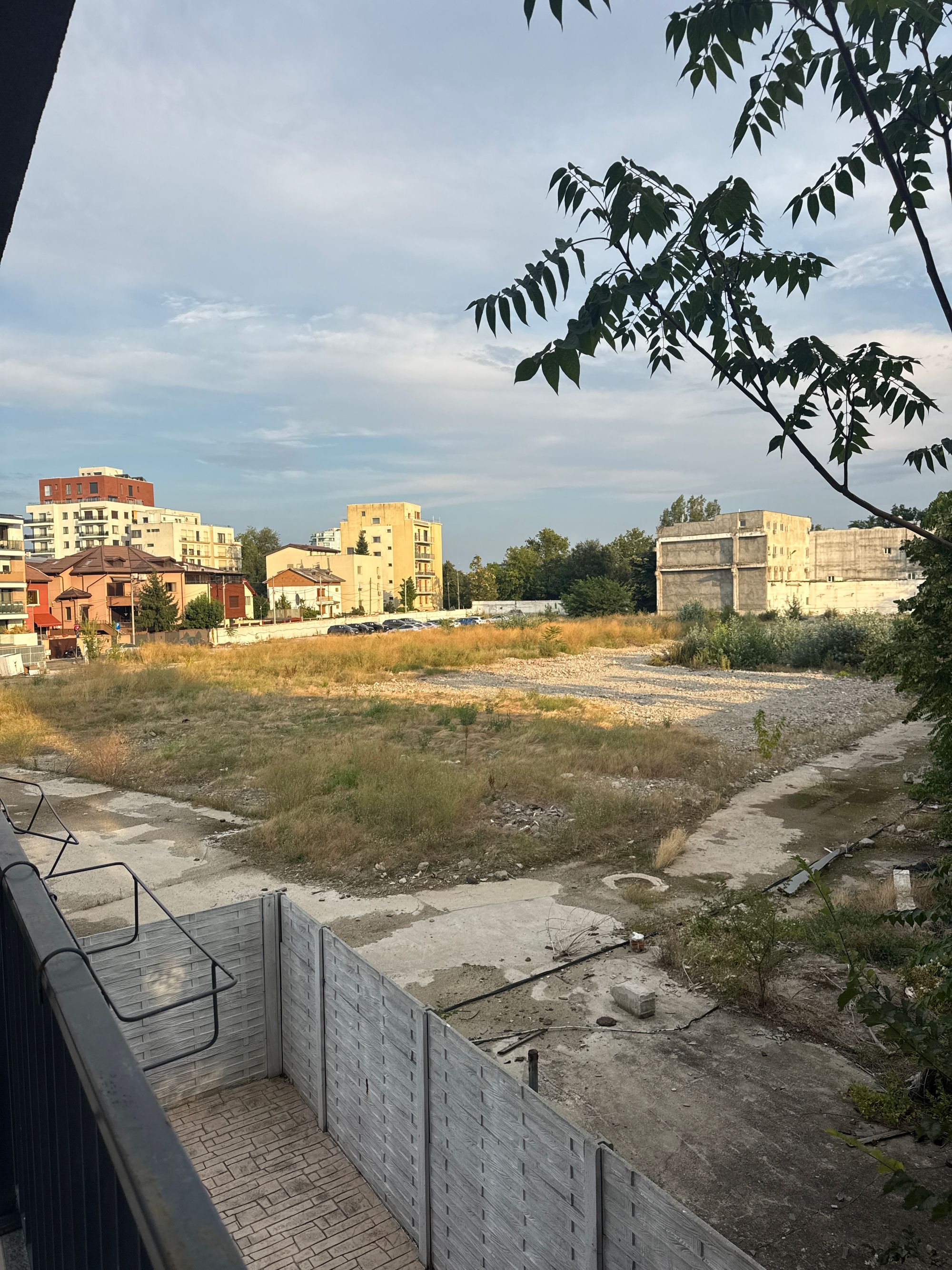 Ambrozie in Strada Fibrei 28, București, Municipiul București