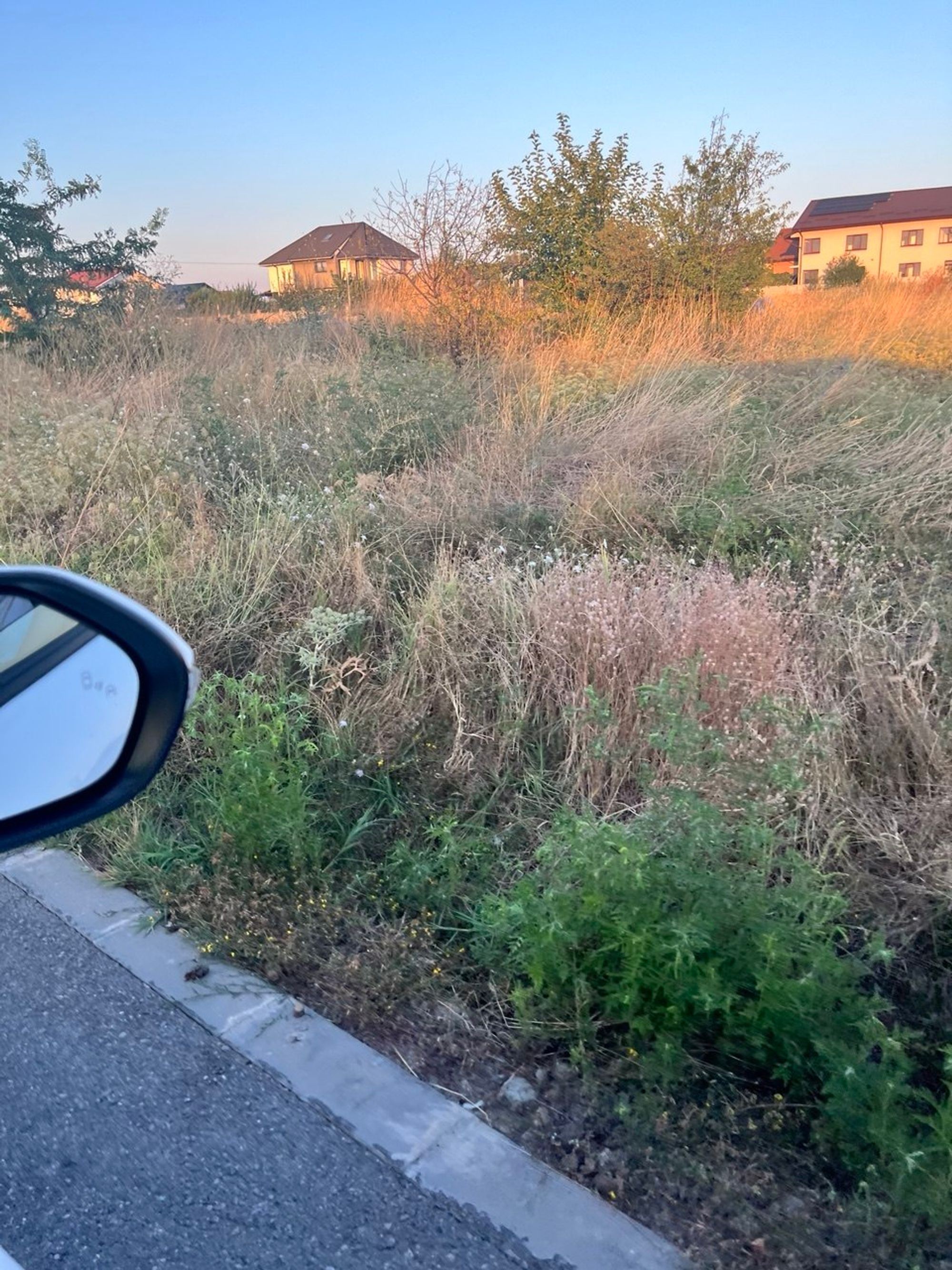 Ambrozie in Strada Eroii Sanitari 48, Craiova, Municipiu Craiova, Județul Dolj