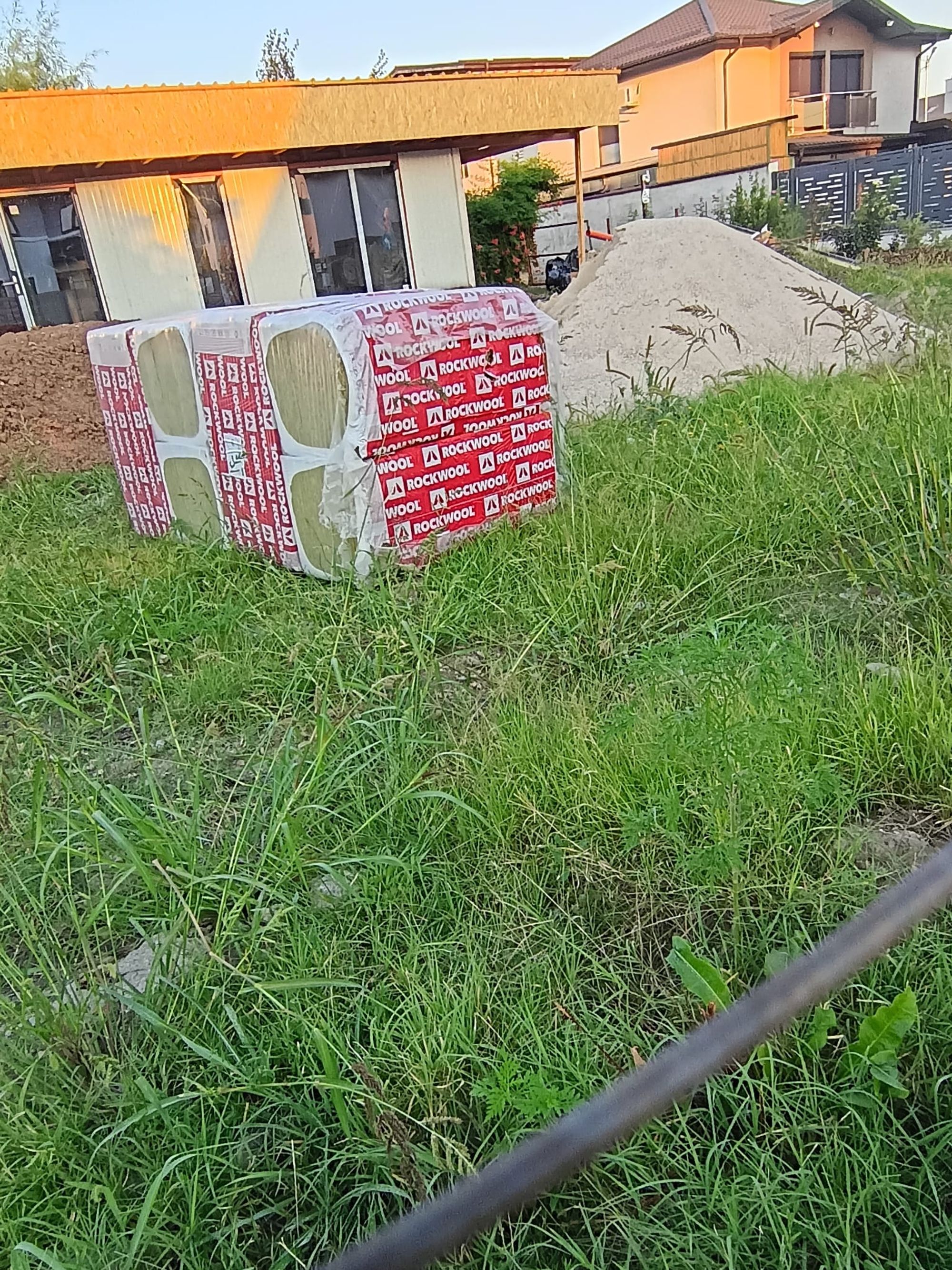 Ambrozie in Strada Acvilei 31, Roșu, Comuna Chiajna, Județul Ilfov