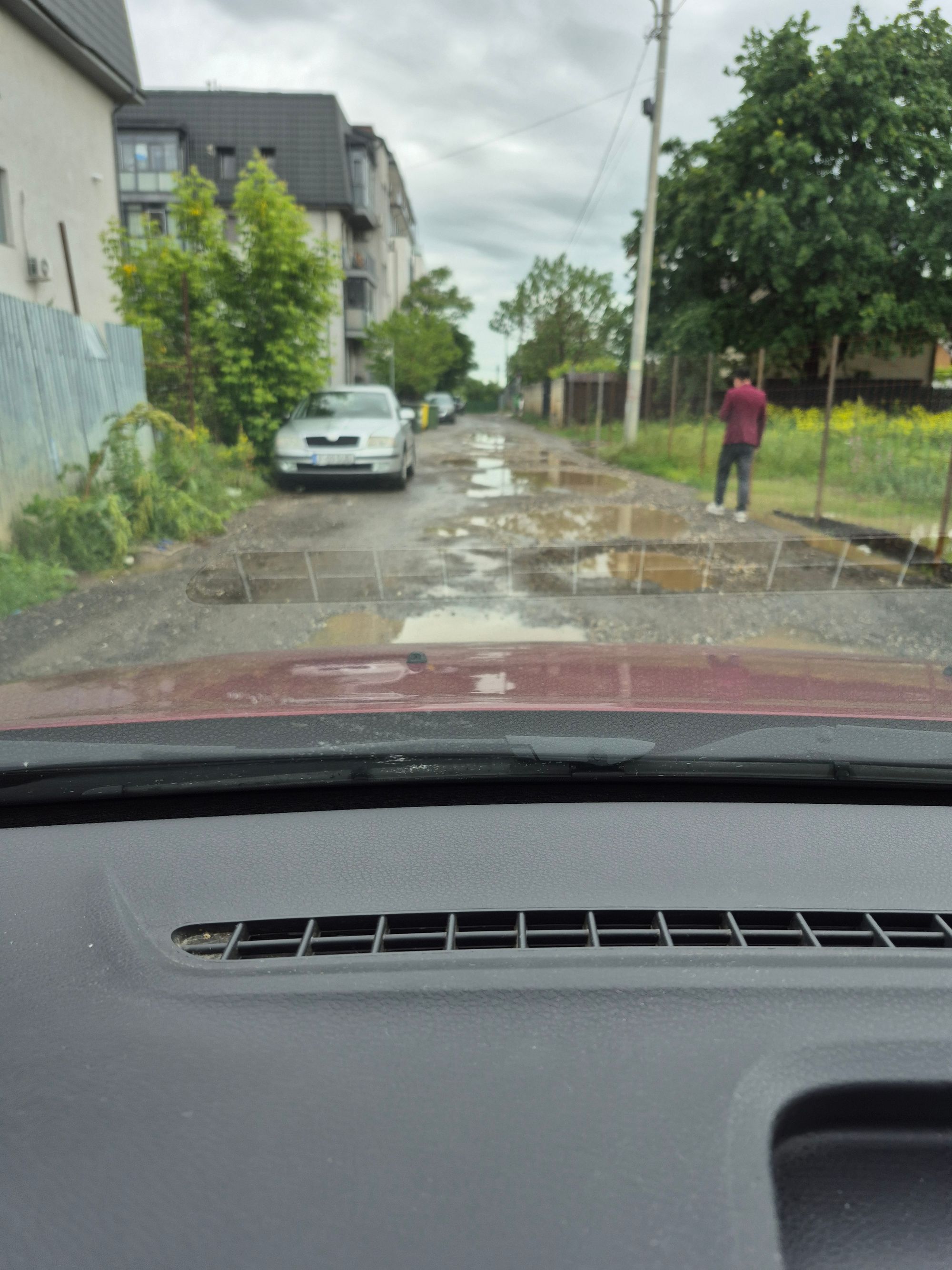 Ambrozie in Strada Cireșului 8, București, Comuna Dobroești, Județul Ilfov - inbound433934753805862456.jpg