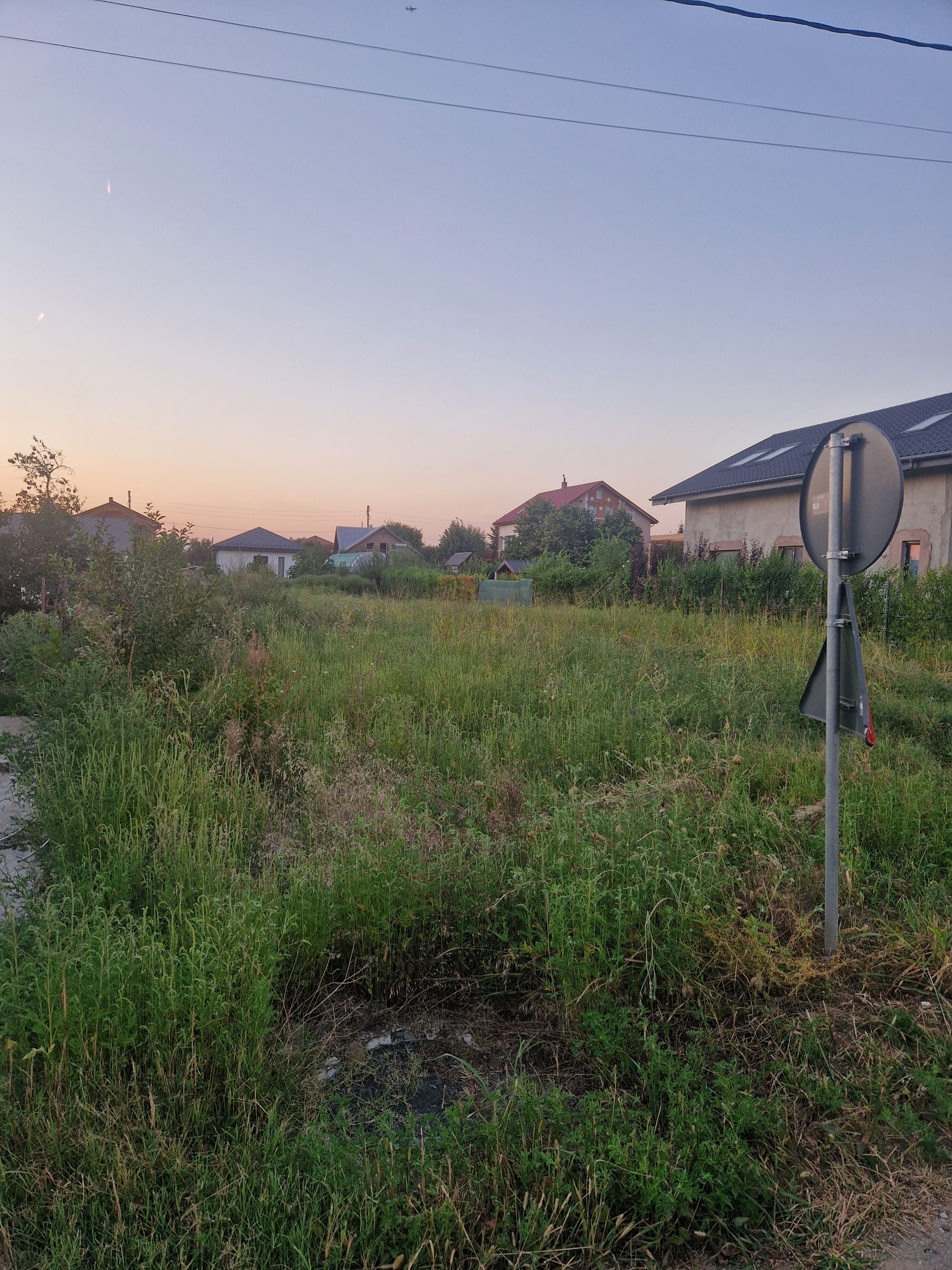 Ambrozie in Strada Octavian Goga 73, Moara Vlăsiei, Comuna Moara Vlăsiei, Județul Ilfov
