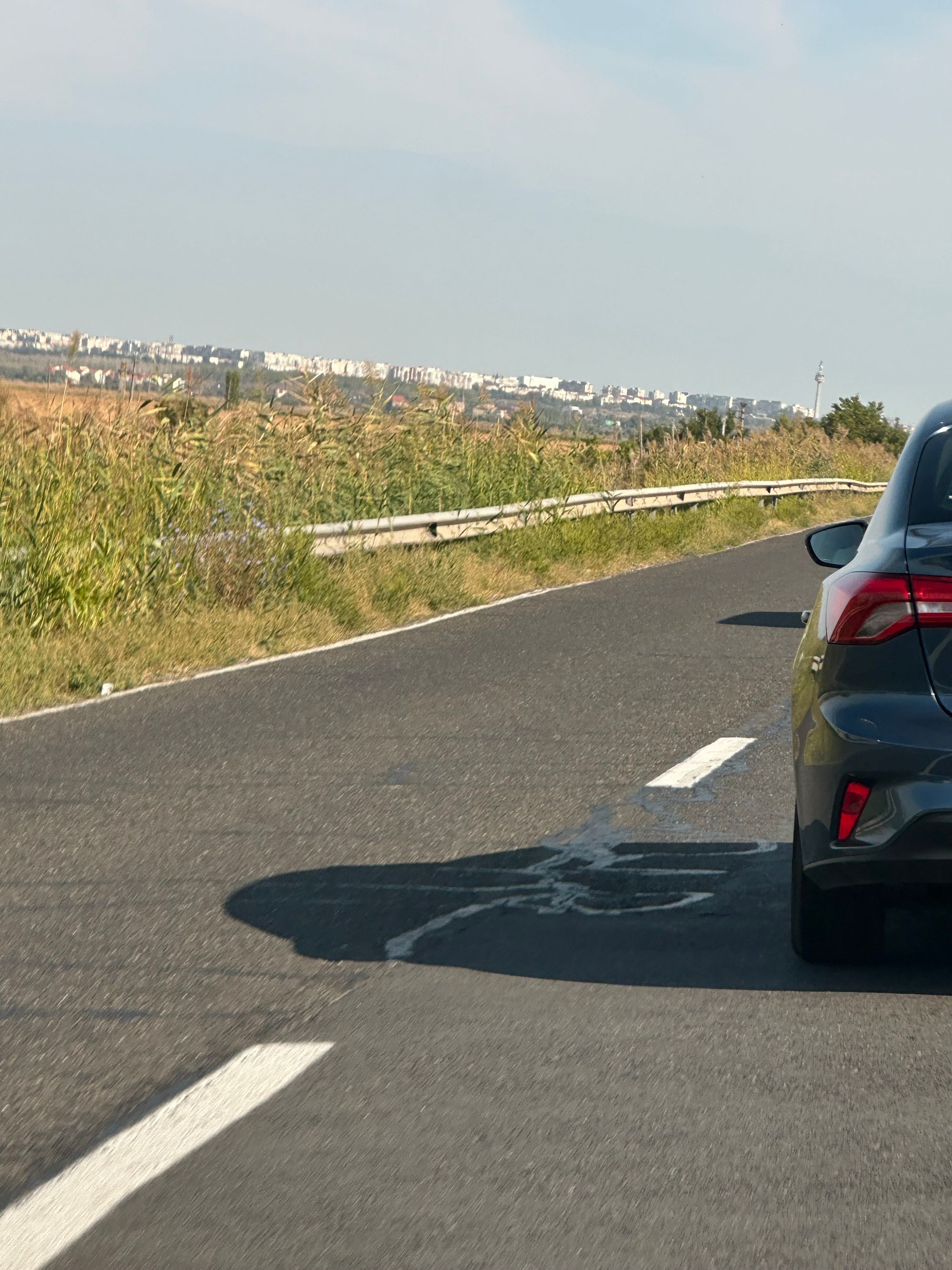 Ambrozie in Brăila, Județul Brăila - IMG_7076.jpeg