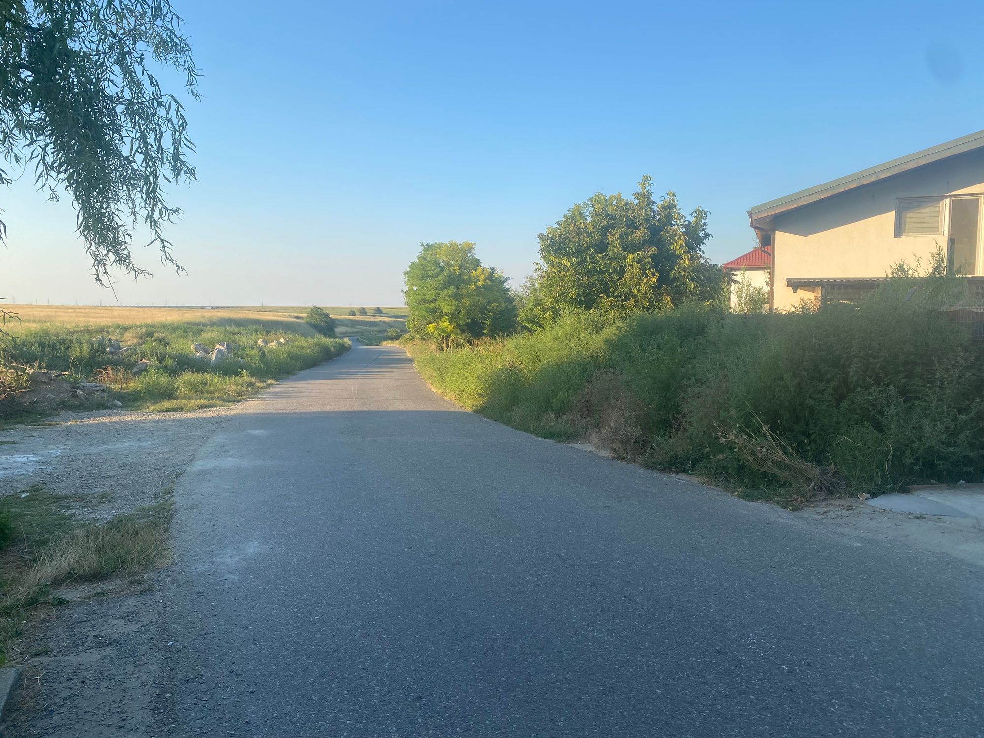 Ambrozie in DJ402 28, Hagieşti, Comuna Sinești, Județul Ialomița