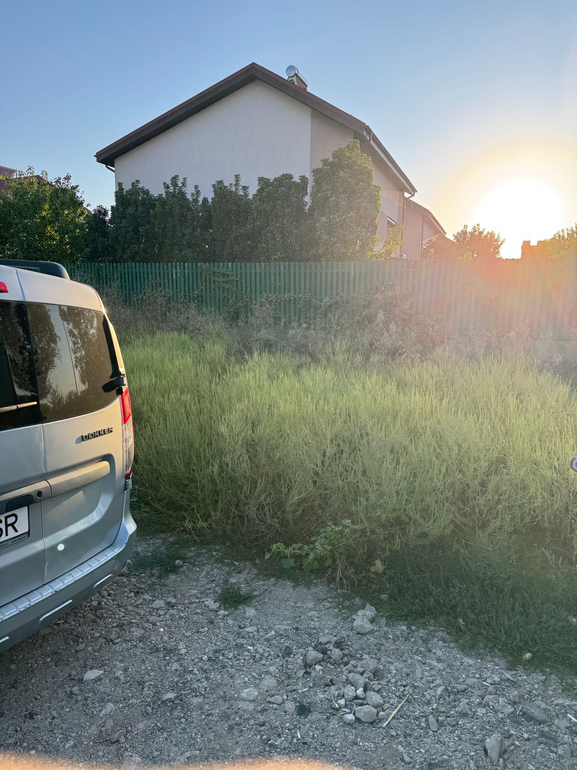 Ambrozie in Cheiul Dâmboviței 22, Popești-Leordeni, Oraş Popeşti Leordeni, Județul Ilfov - IMG_2128.jpeg