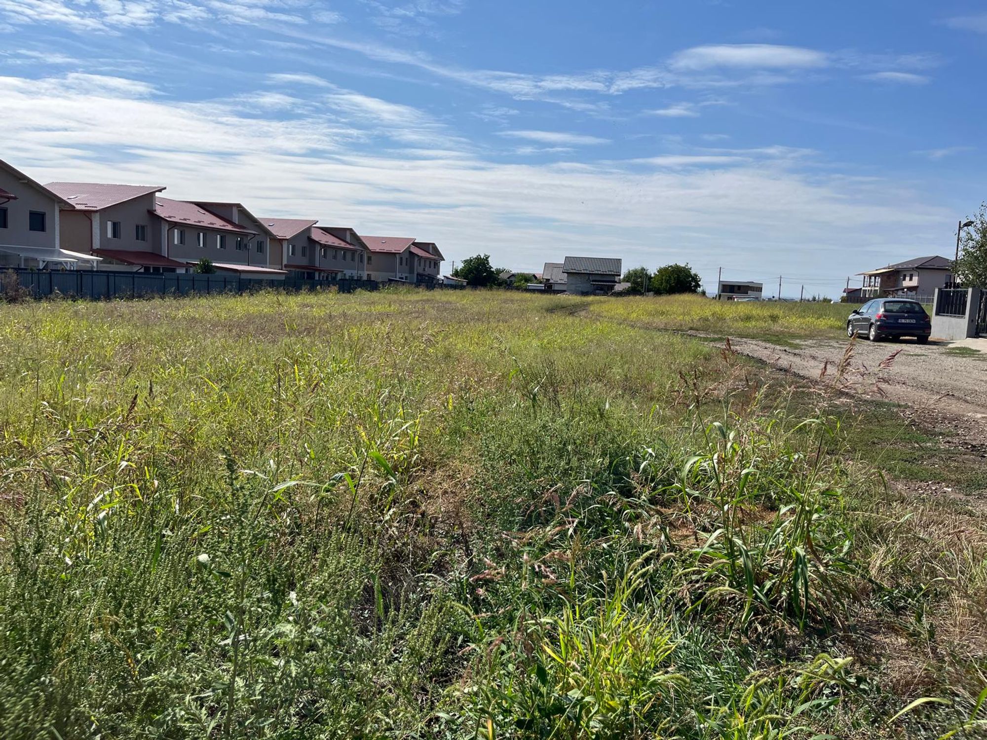 Ambrozie in Fundac Mihail Sadoveanu 6, Valea Lupului, Comuna Valea Lupului, Județul Iași - IMG-20250913-WA0001.jpg