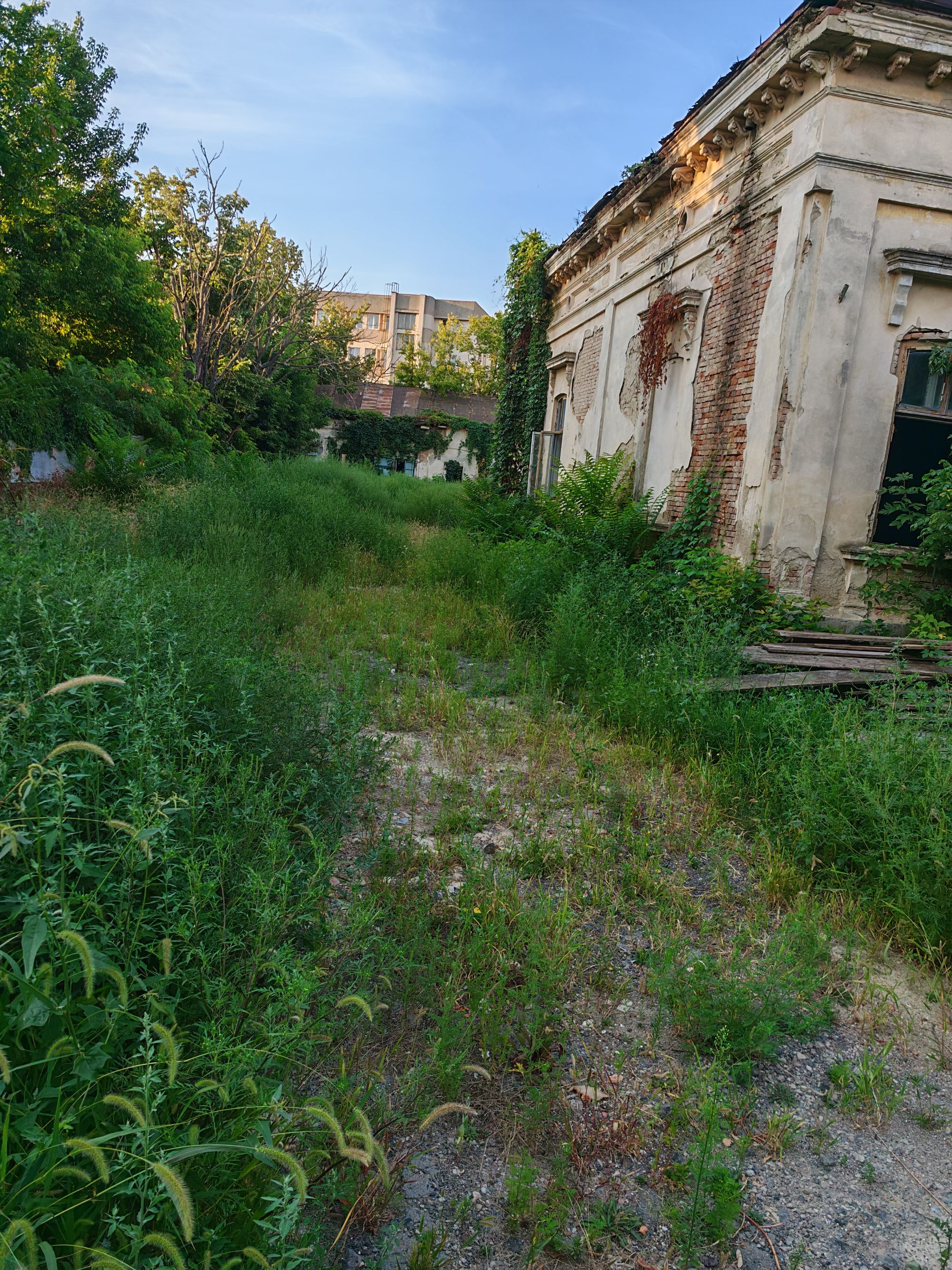 Ambrozie in Strada Grigore Ghica Vodă 19, Iași, Municipiu Iași, Județul Iași