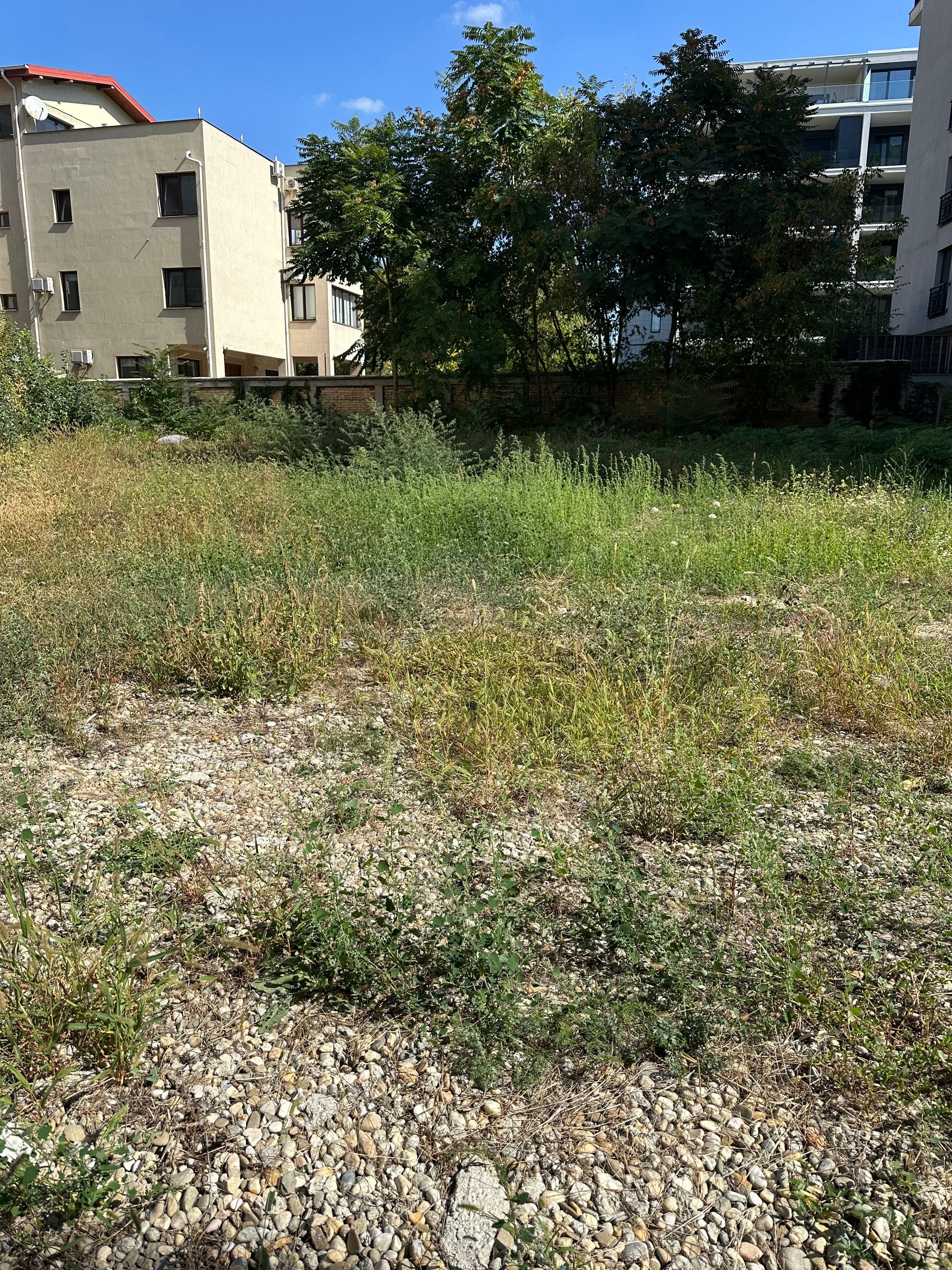 Ambrozie in Strada Ghiozdanului 22A, București, Municipiul București