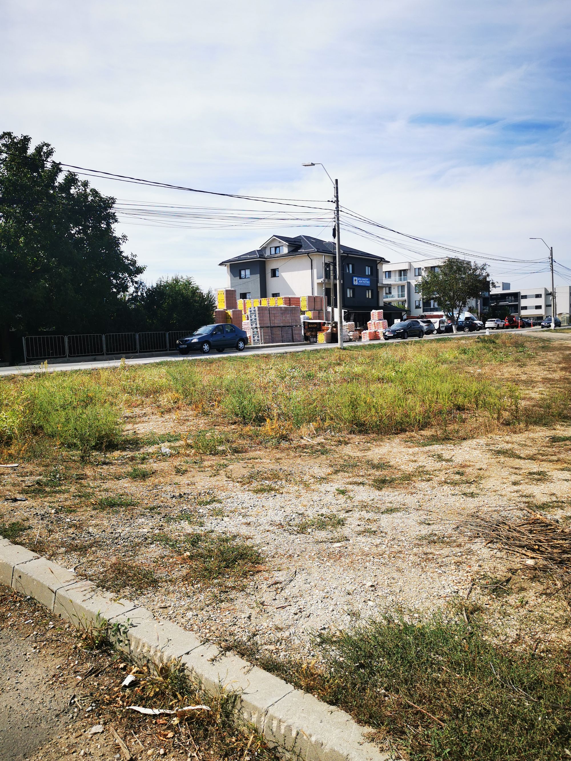 Ambrozie in Strada 1 Decembrie 129, Tunari, Comuna Tunari, Județul Ilfov - IMG_20250915_123839.jpg