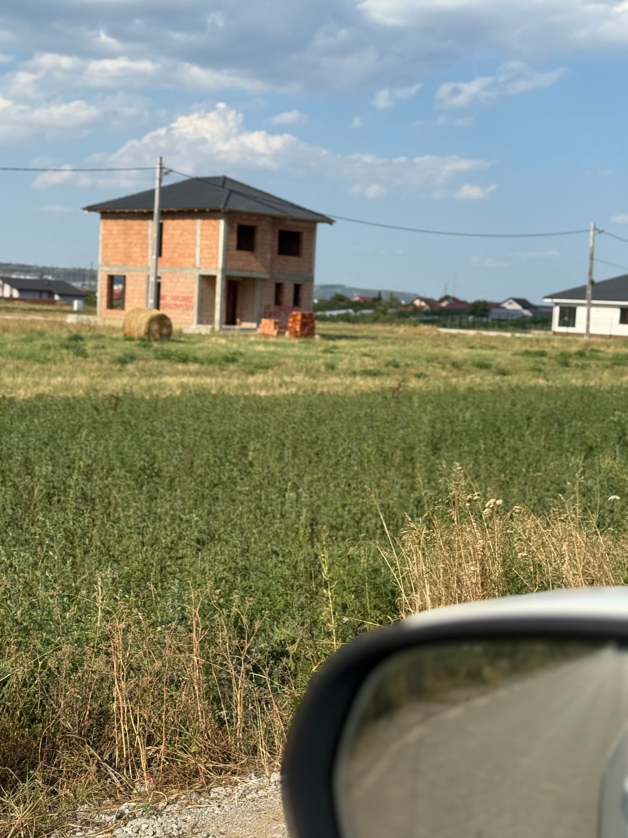 Ambrozie in Str. Lămâiței 4b, Cihei, Comuna Sânmartin, Județul Bihor