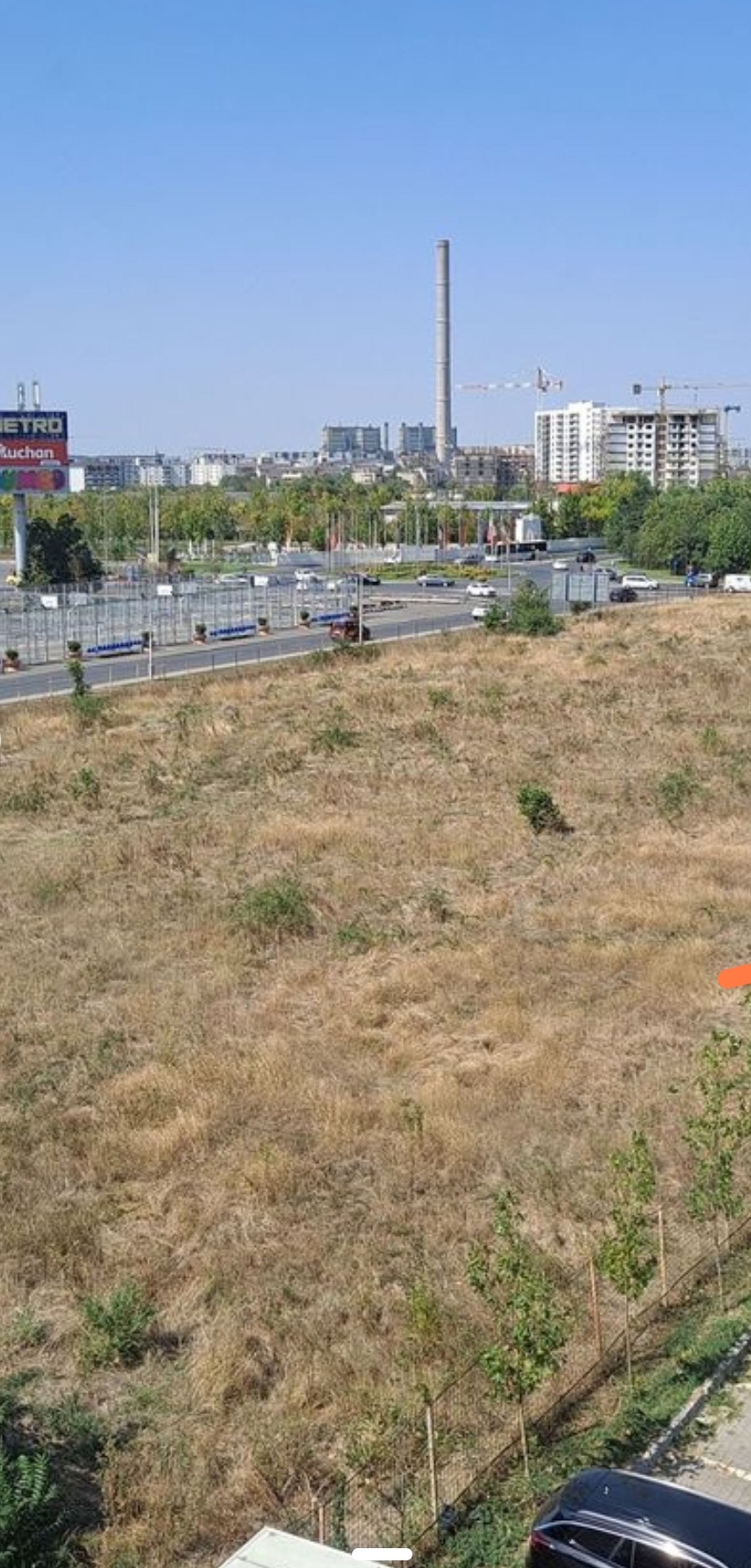 Ambrozie in Bulevardul Metalurgiei 214 - 220, București, Municipiul București - Screenshot_2024-09-07-15-49-21-155-edit_com.android.chrome.jpg