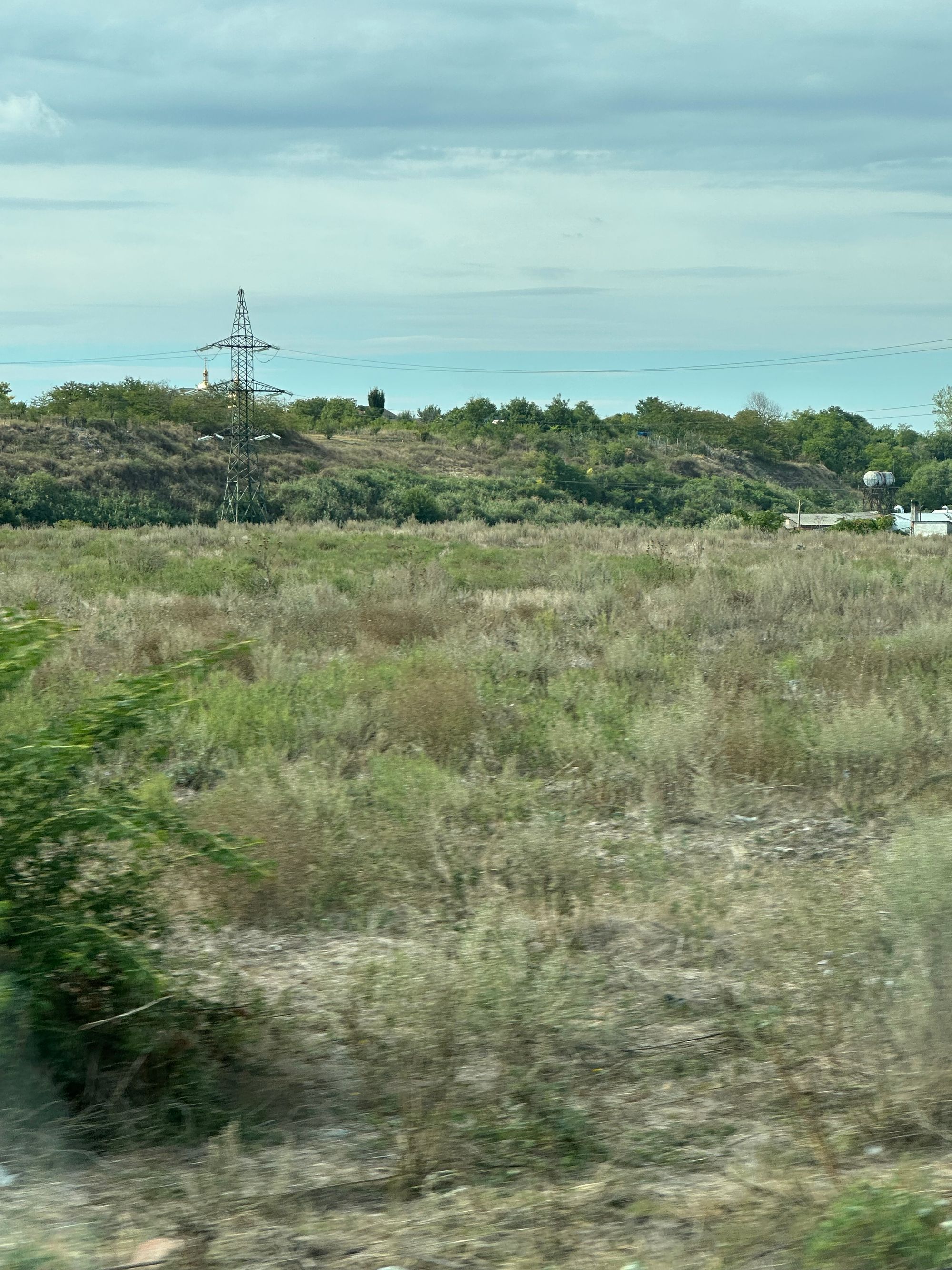 Ambrozie in Brăila, Județul Brăila - IMG_7095.jpeg