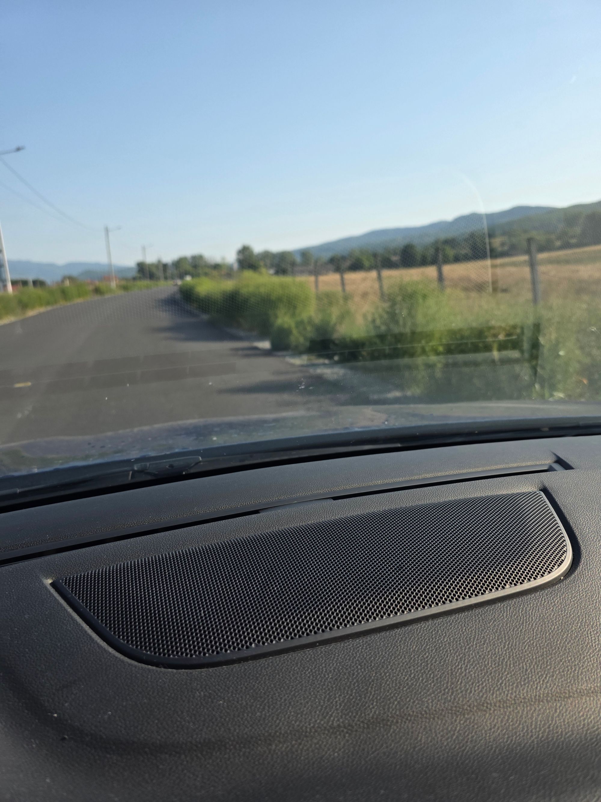 Ambrozie in DJ703L 8, Dăești, Comuna Dăești, Județul Vâlcea - inbound5306990463434344659.jpg