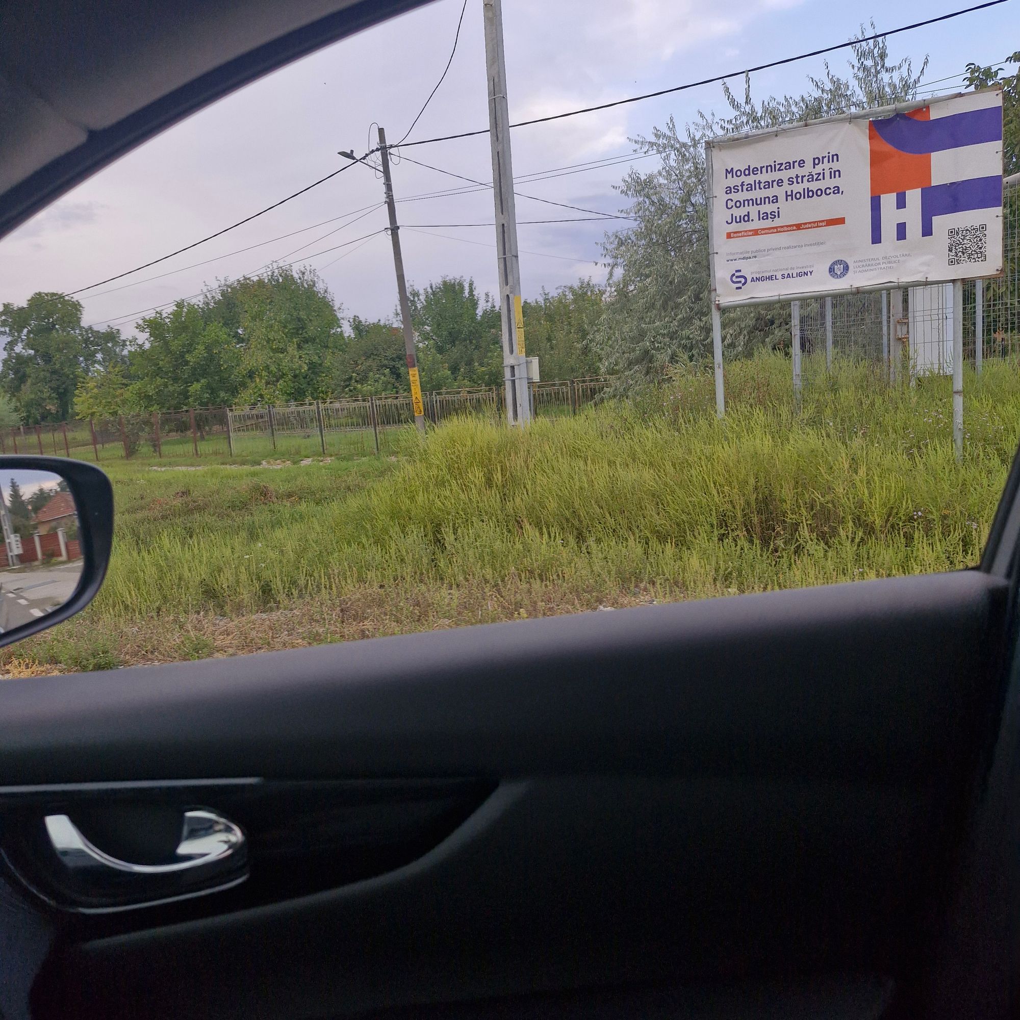 Ambrozie in Holboca, Comuna Holboca, Județul Iași - 1000020757.jpg