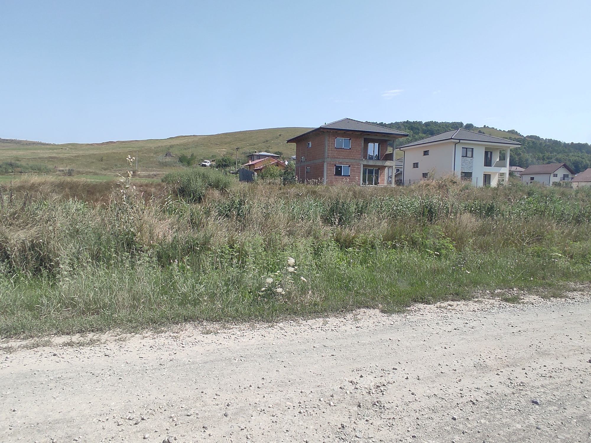 Ambrozie in Strada Viitorului 101, Câmpenești, Comuna Apahida, Județul Cluj - inbound6460513487830990927.jpg