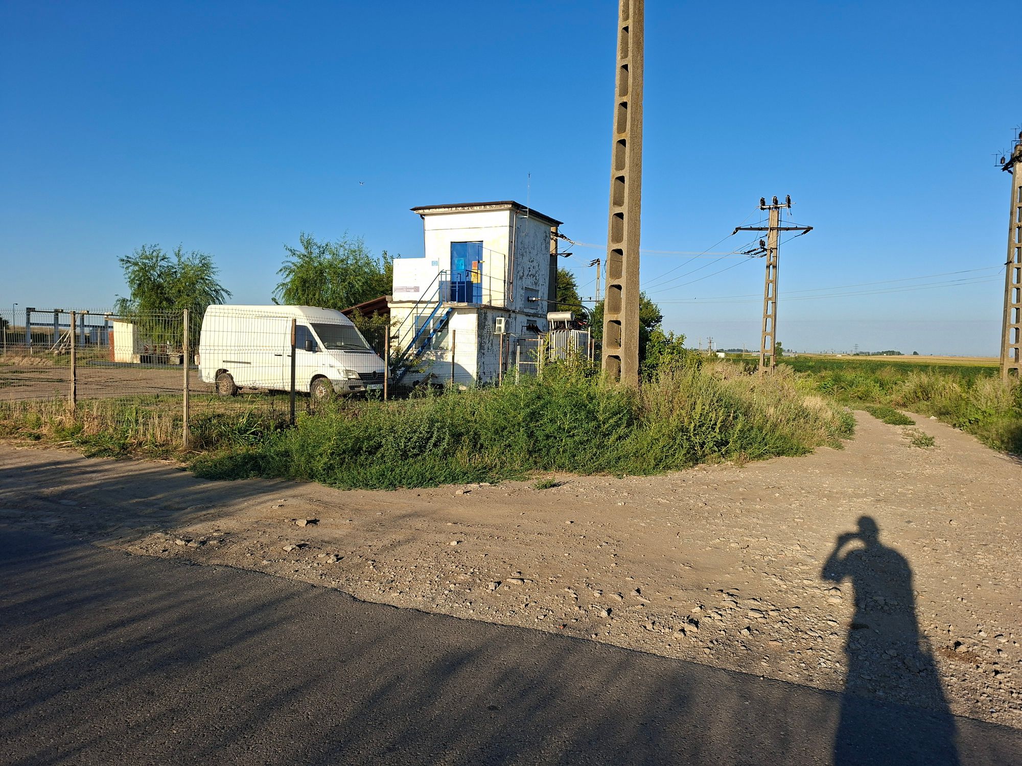 Ambrozie in Dudescu, Comuna Zăvoaia, Județul Brăila - 17554052058922955748855044022306.jpg