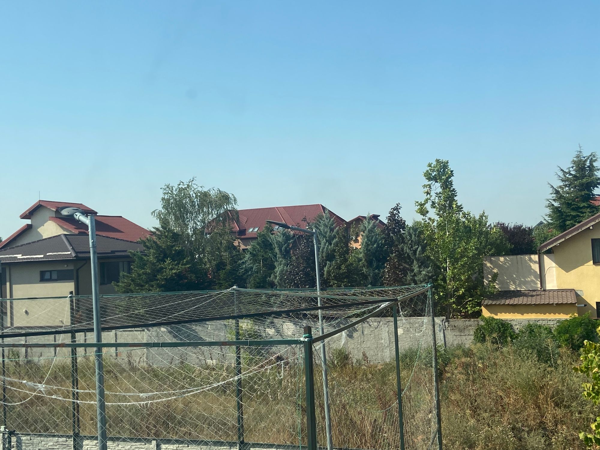 Ambrozie in Strada Mugurelului 51, București, Oraş Bragadiru, Județul Ilfov - B1CBEE42-FC2C-4F5D-B284-7023D11B0751.jpeg