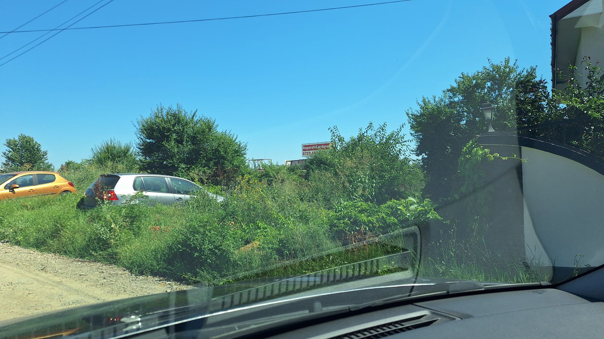 Ambrozie in Autostrada de Centura Bucuresti 304a, Glina, Comuna Glina, Județul Ilfov - 20260726_112702.jpg
