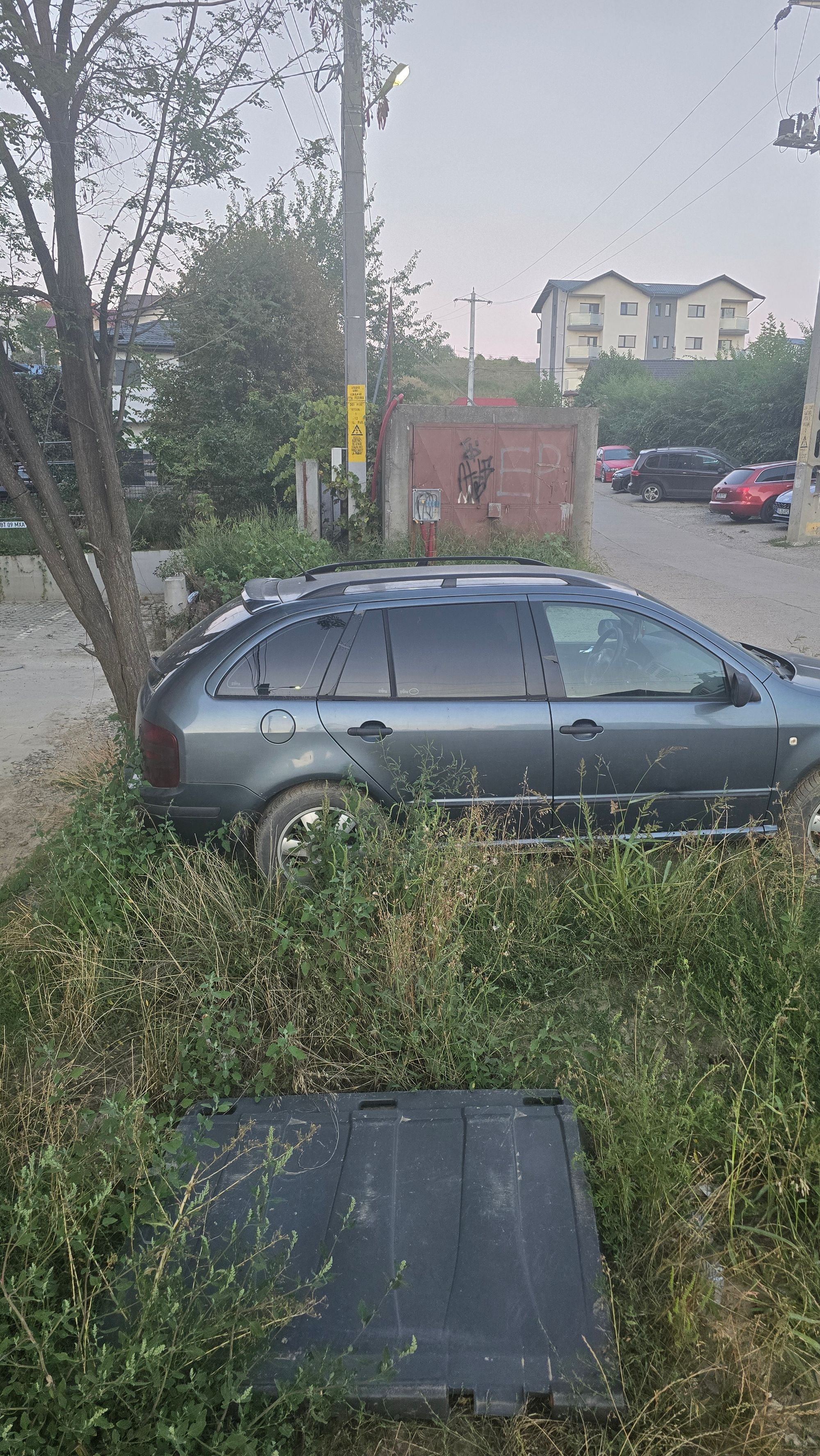 Ambrozie in Strada Sfântul Ilie 61, Vișan, Comuna Bârnova, Județul Iași