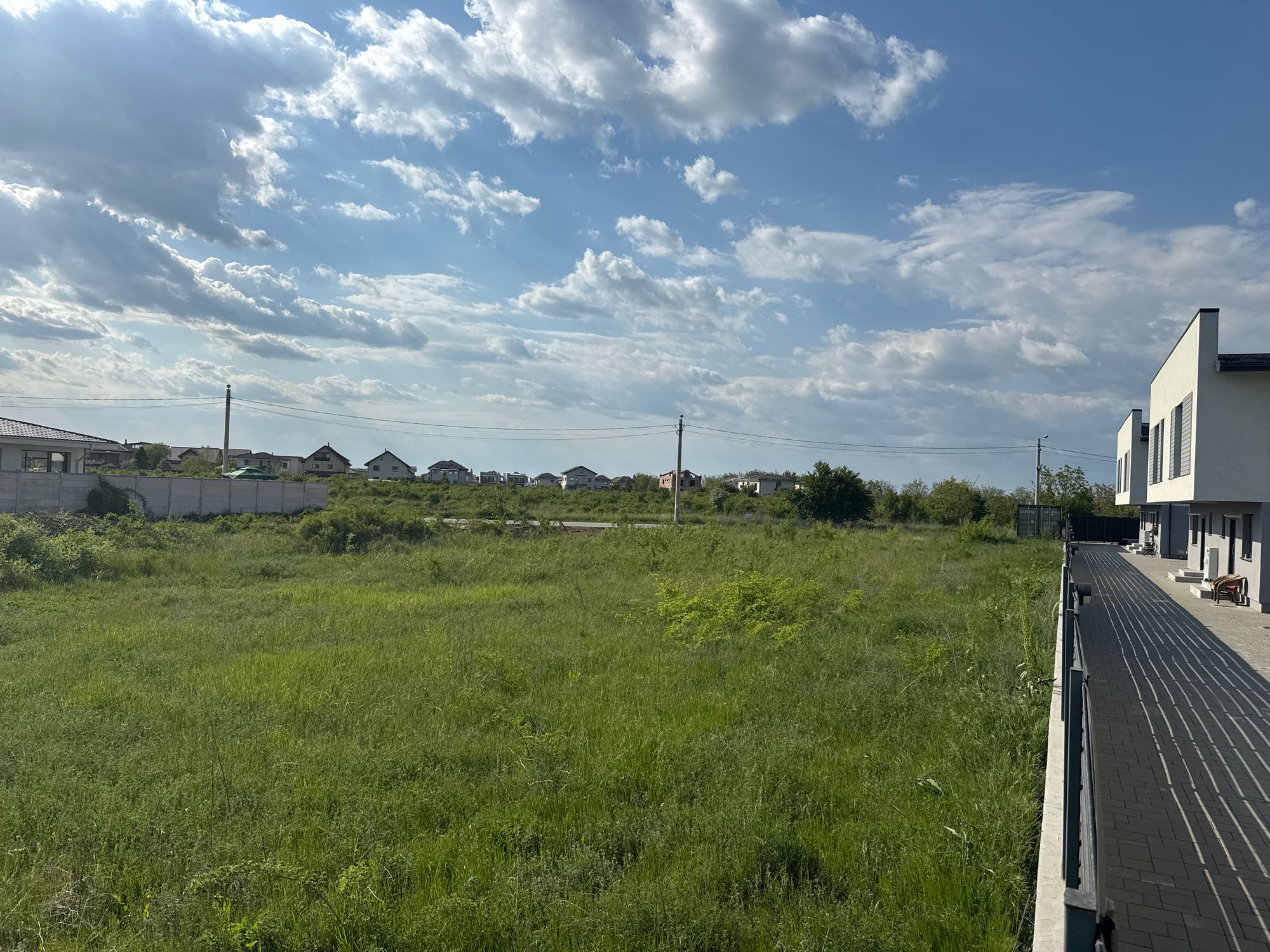 Ambrozie in Strada Grivița 38b, Otopeni, Oraş Otopeni, Județul Ilfov - image.jpg