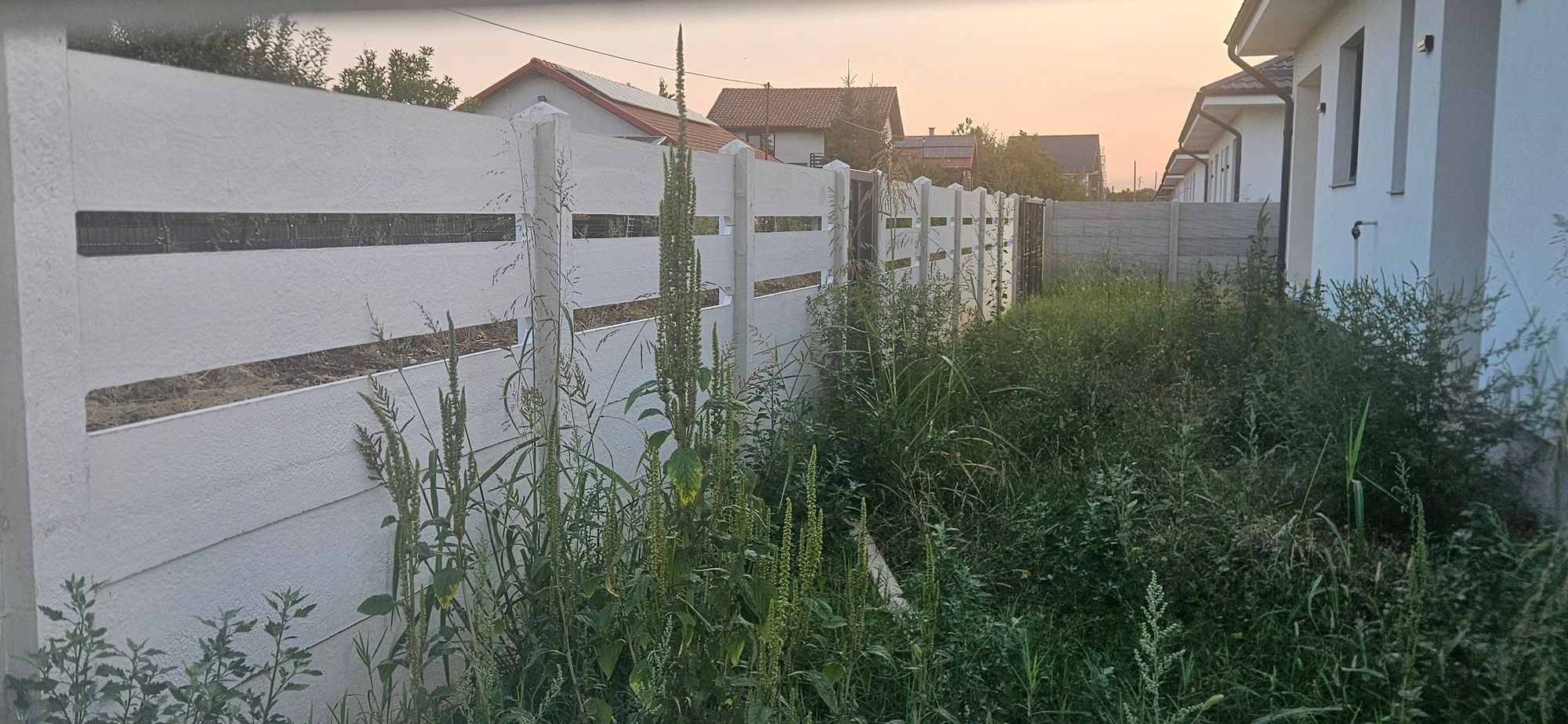 Ambrozie in Drumul Târgului 40, Domnești, Comuna Domnești, Județul Ilfov