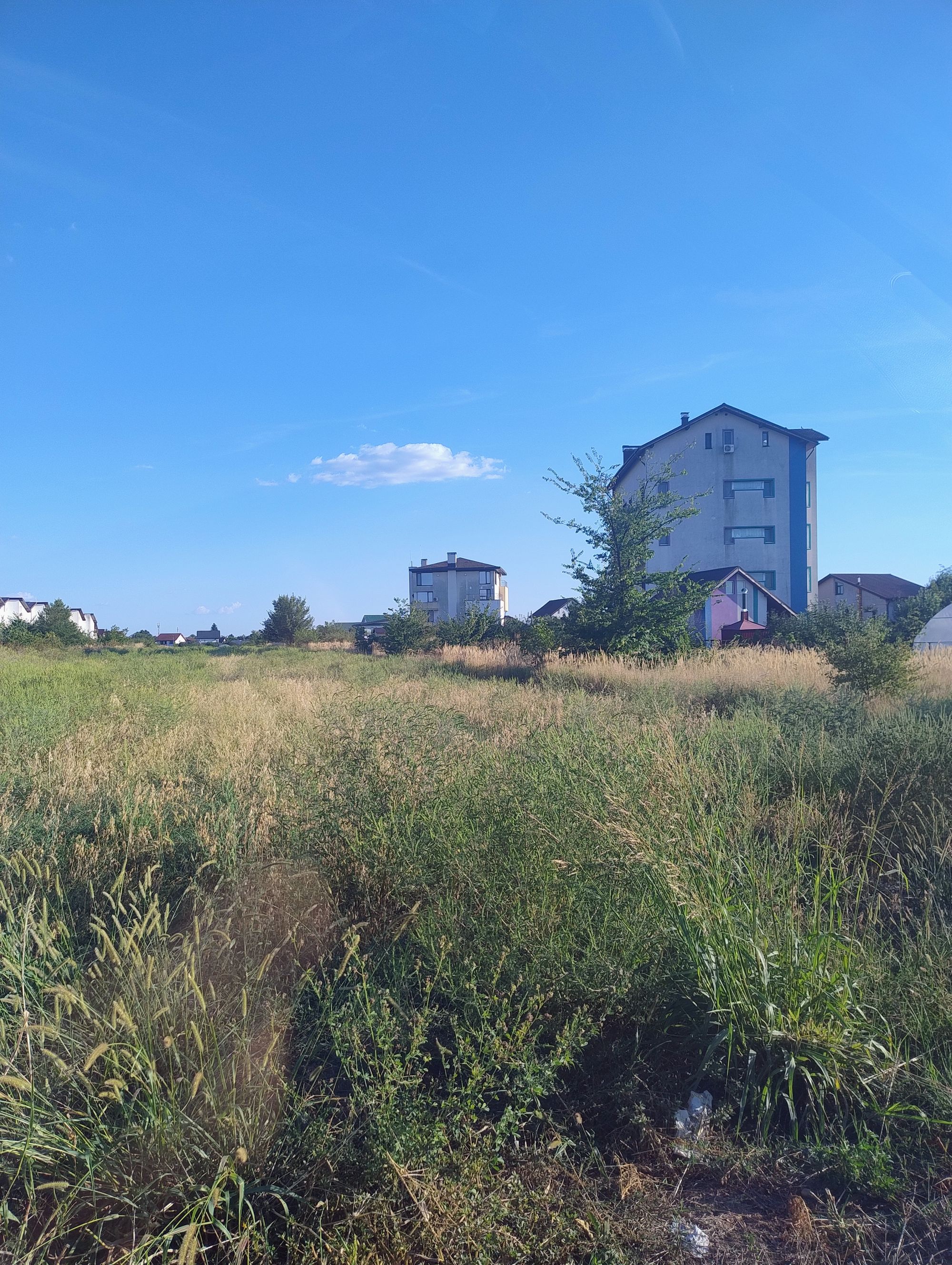 Ambrozie in Strada Doamnei 2, Domnești, Comuna Domnești, Județul Ilfov