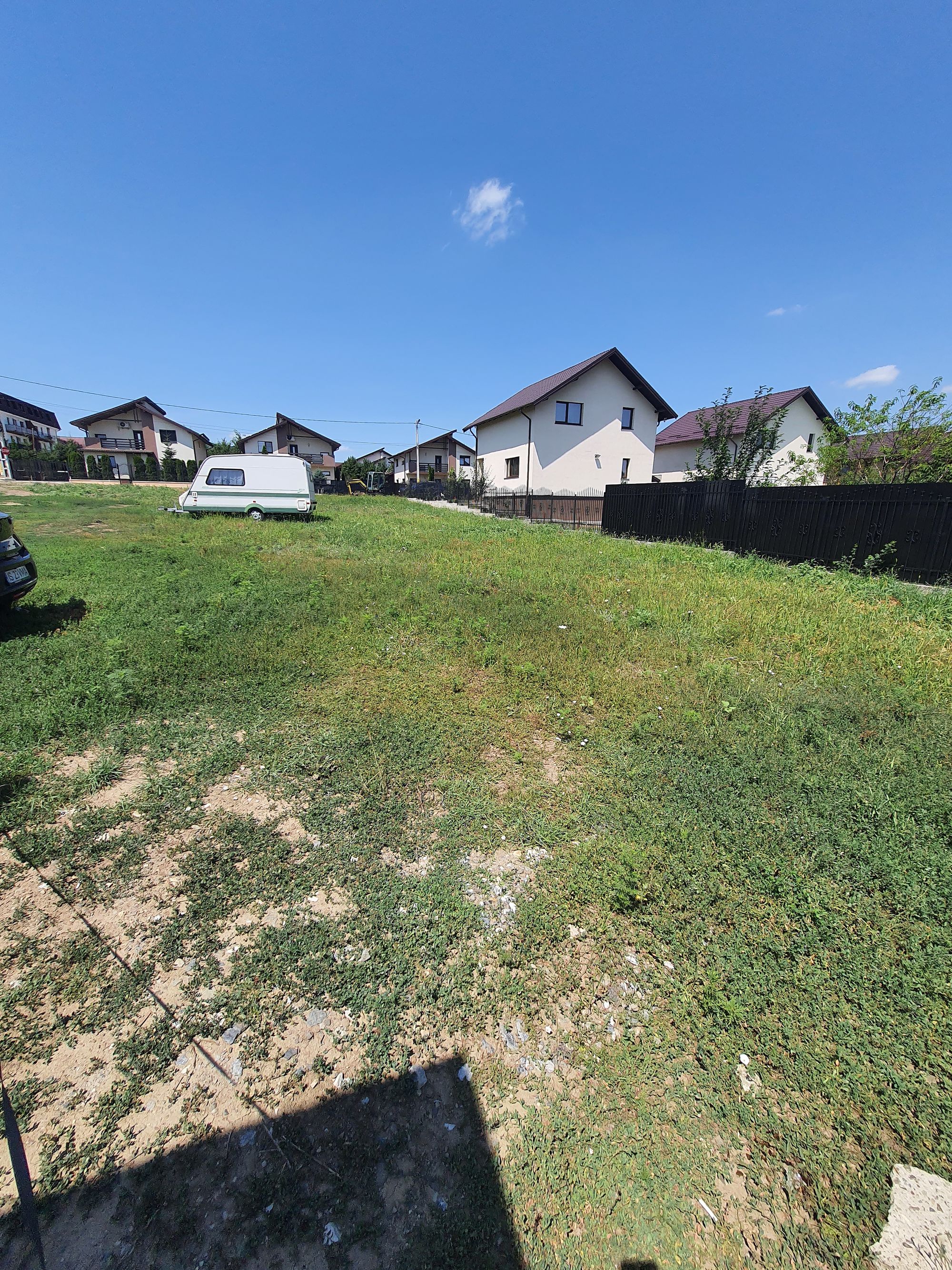 Ambrozie in Strada Livezilor 1, Valea Adâncă, Comuna Miroslava, Județul Iași - 20230721_132302.jpg