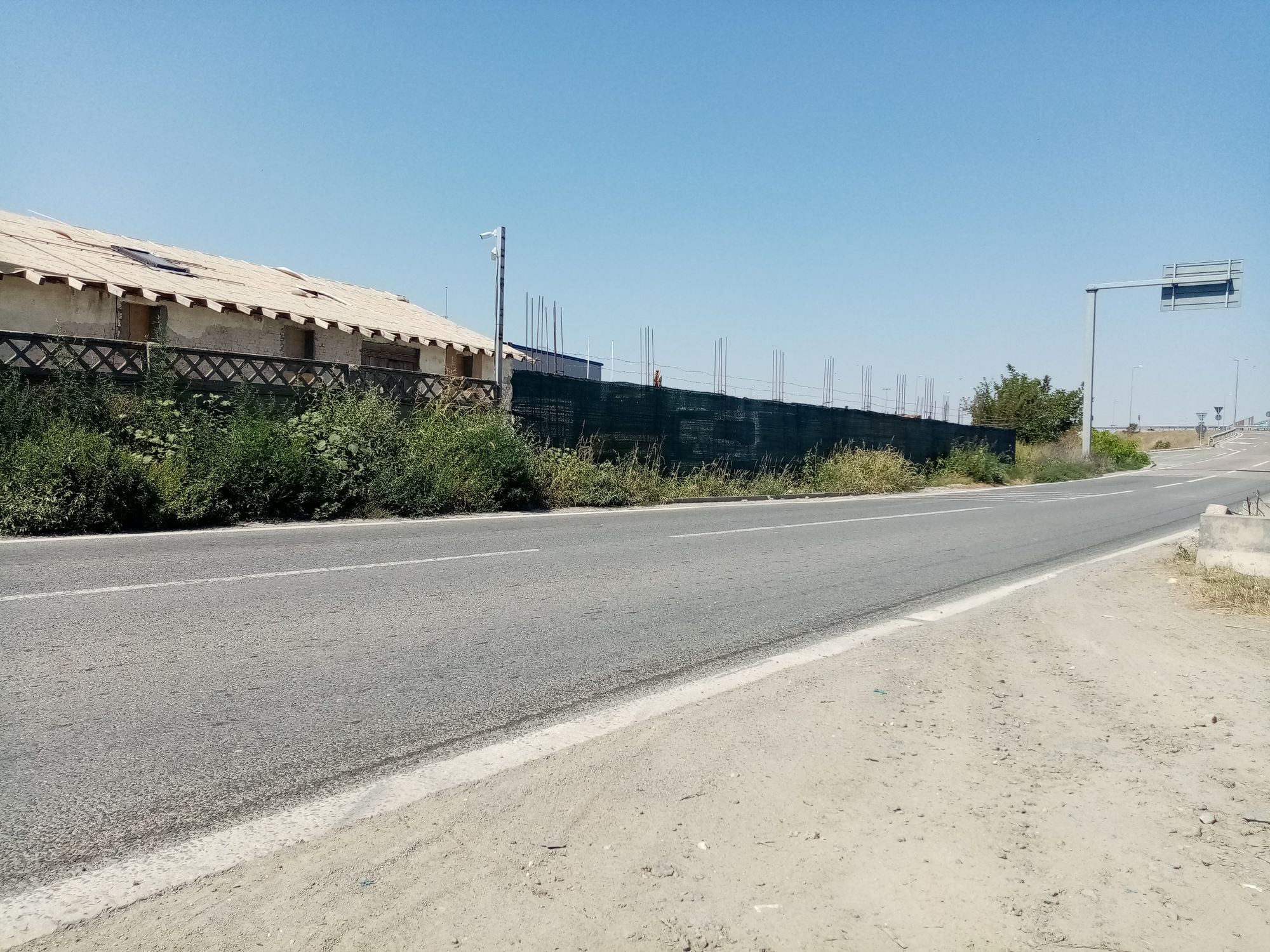 Ambrozie in Șoseaua Națională I3, Ovidiu, Oraş Ovidiu, Județul Constanța - IMG_20230828_130629.jpg