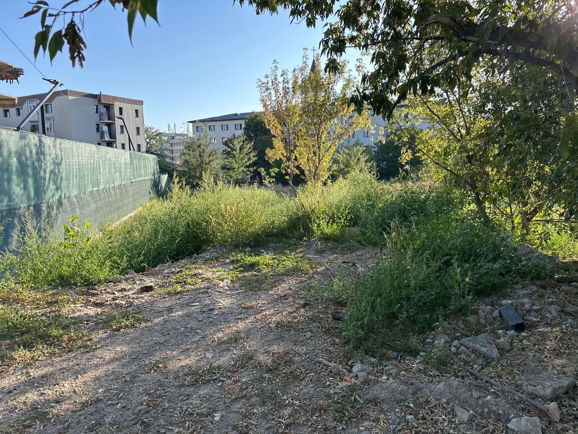 Ambrozie in Strada Ciurchi 72, Iași, Municipiu Iaşi, Județul Iași - image.jpg