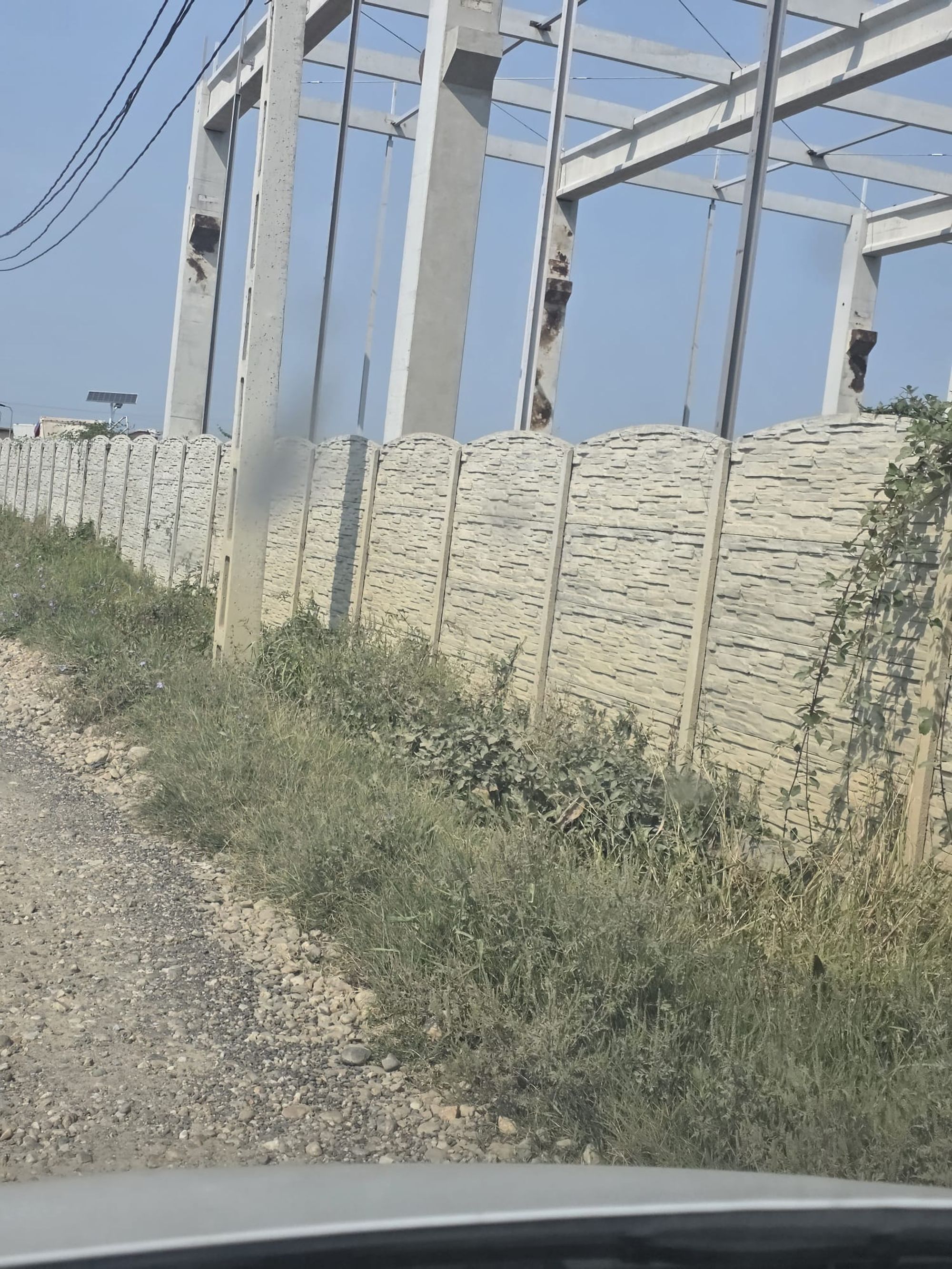 Ambrozie in Albota, Comuna Albota, Județul Argeș - a3.jpg