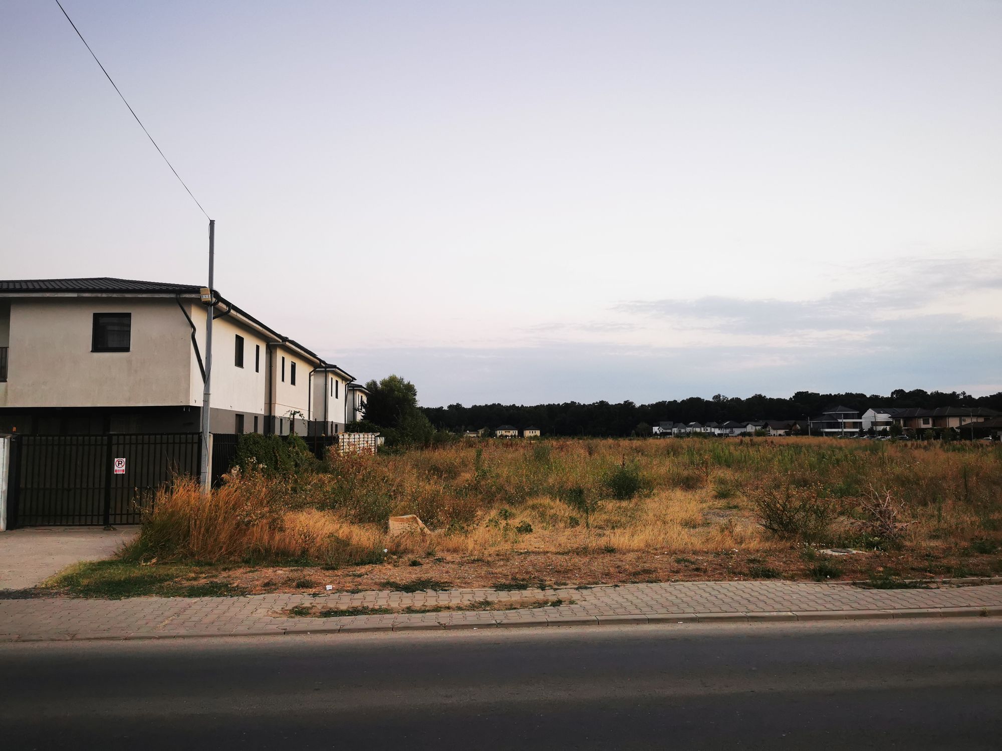 Ambrozie in Strada 1 Decembrie 165, Tunari, Comuna Tunari, Județul Ilfov