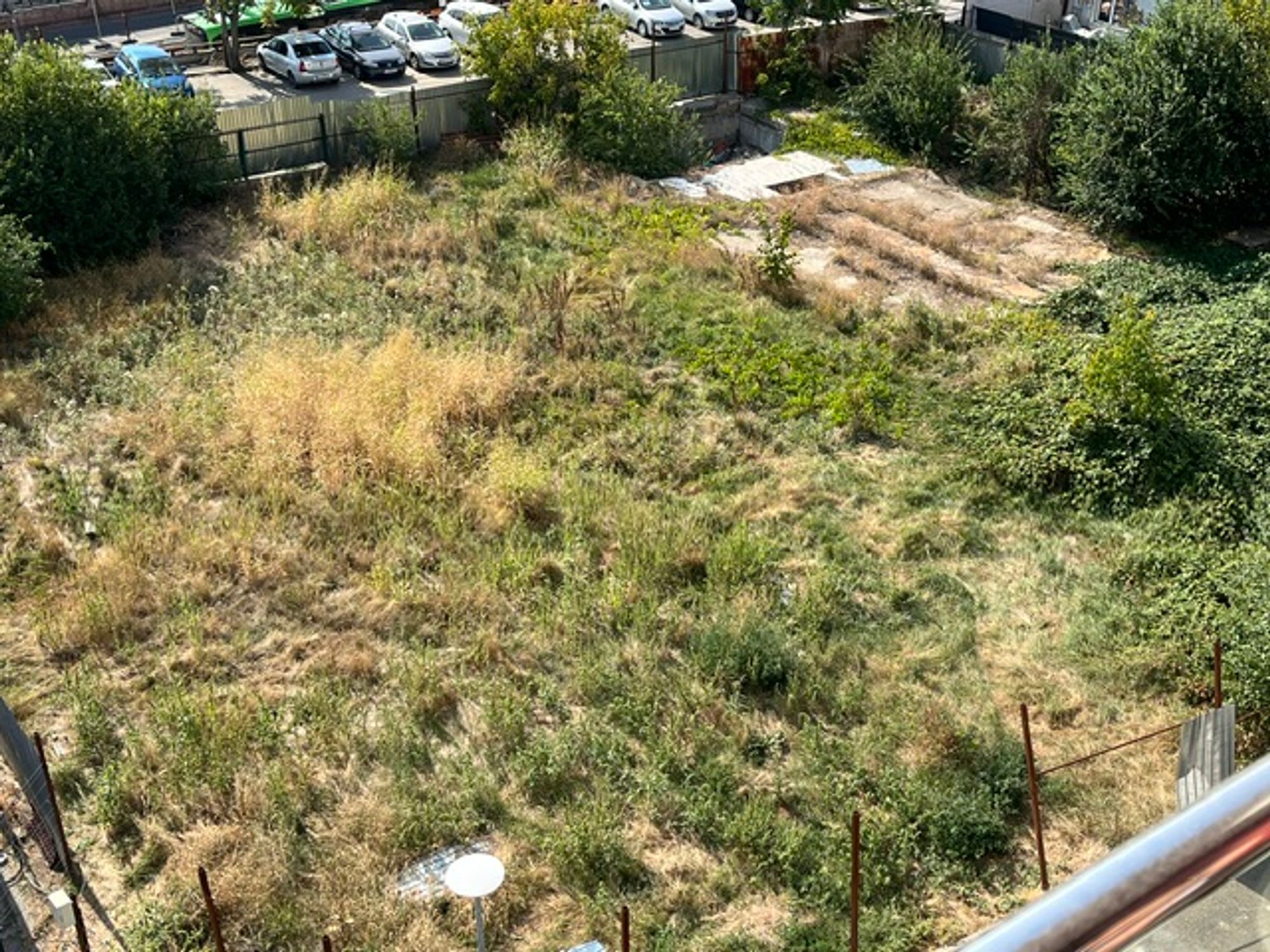 Ambrozie in Strada Telega 6, București, Municipiul București