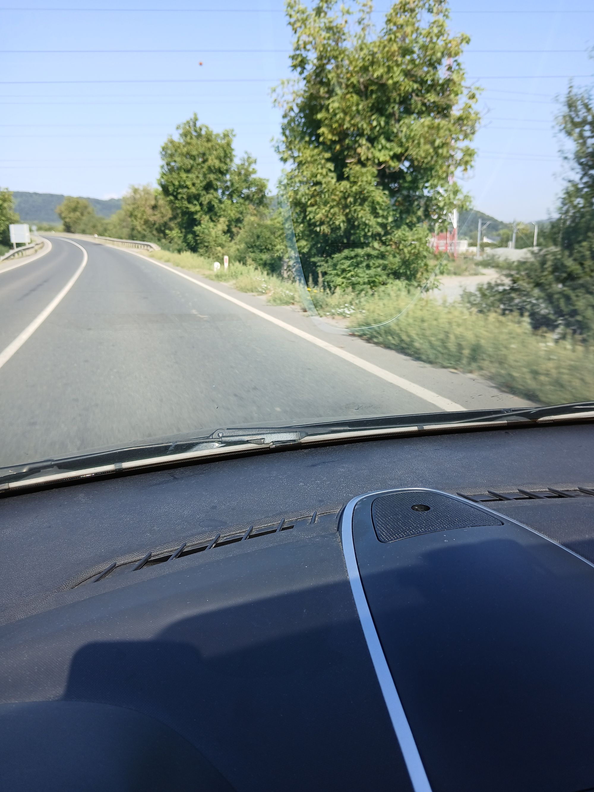 Ambrozie in Mintia, Comuna Vețel, Județul Hunedoara - 20250817_102047.jpg