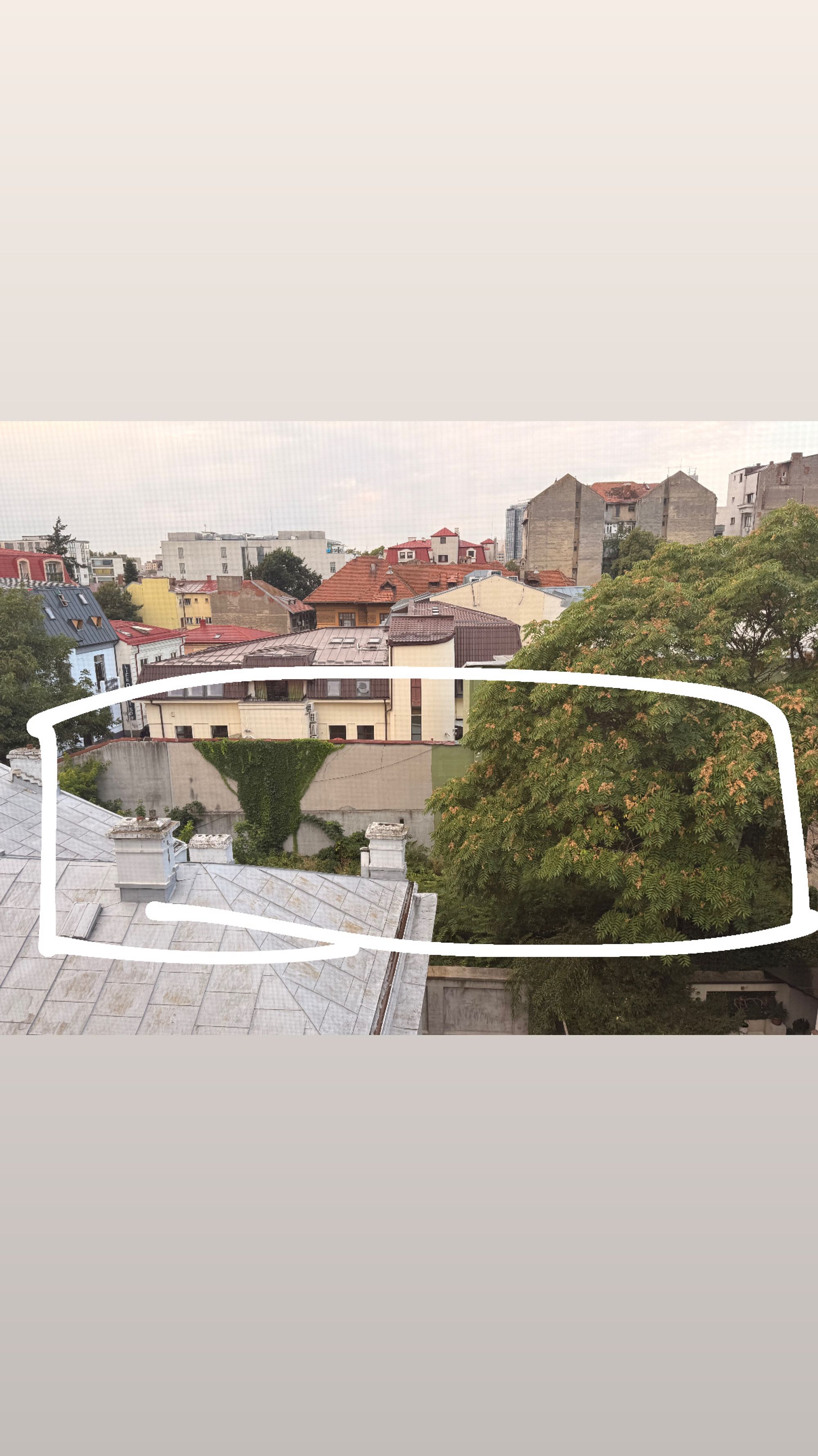 Ambrozie in Strada Frumoasă 43, București, Municipiul București - 9FD8A384-59CB-47E3-94B9-5E25A2E3BF1D.jpeg
