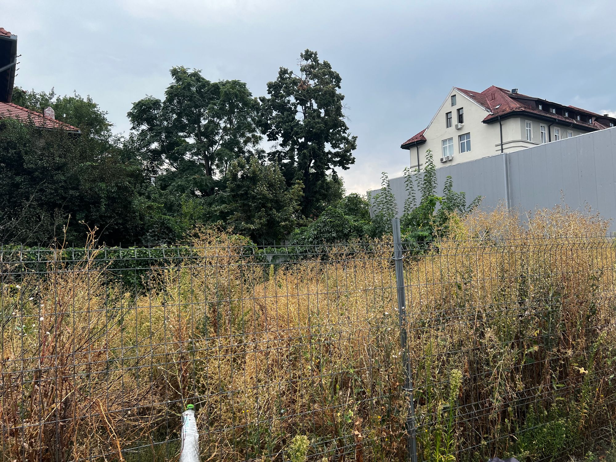 Ambrozie in Strada Agricultori 30, București, Municipiul București