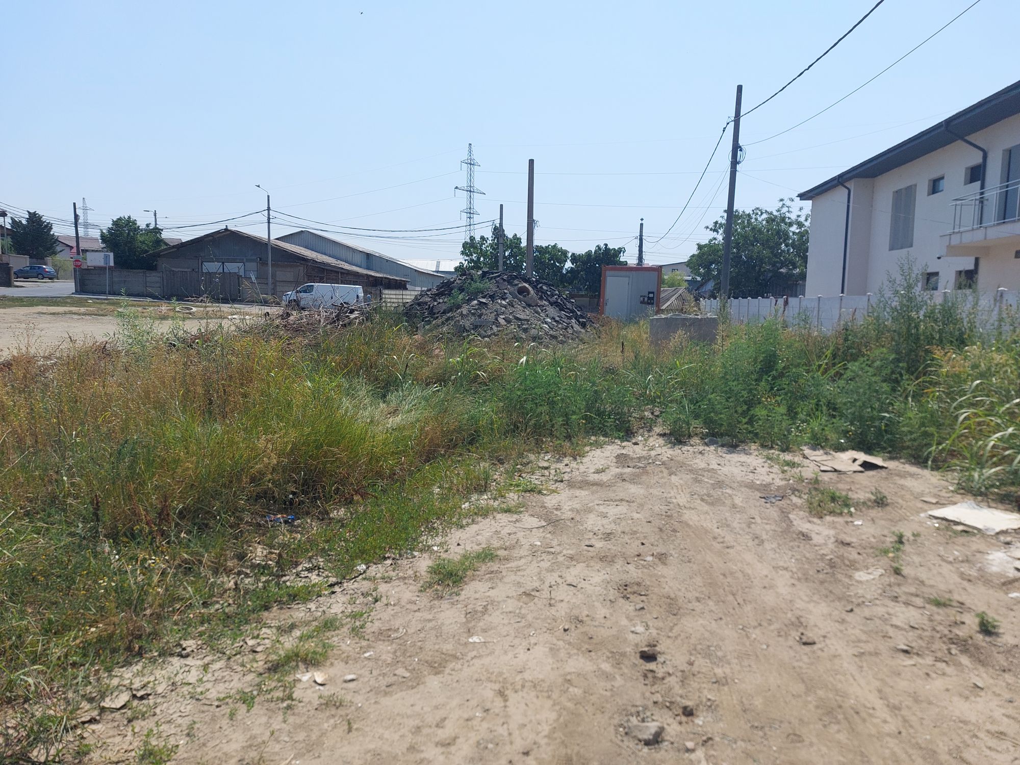 Ambrozie in Strada Drumul Fermei 5, Dobroești, Comuna Dobroești, Județul Ilfov - 20250707_113440.jpg