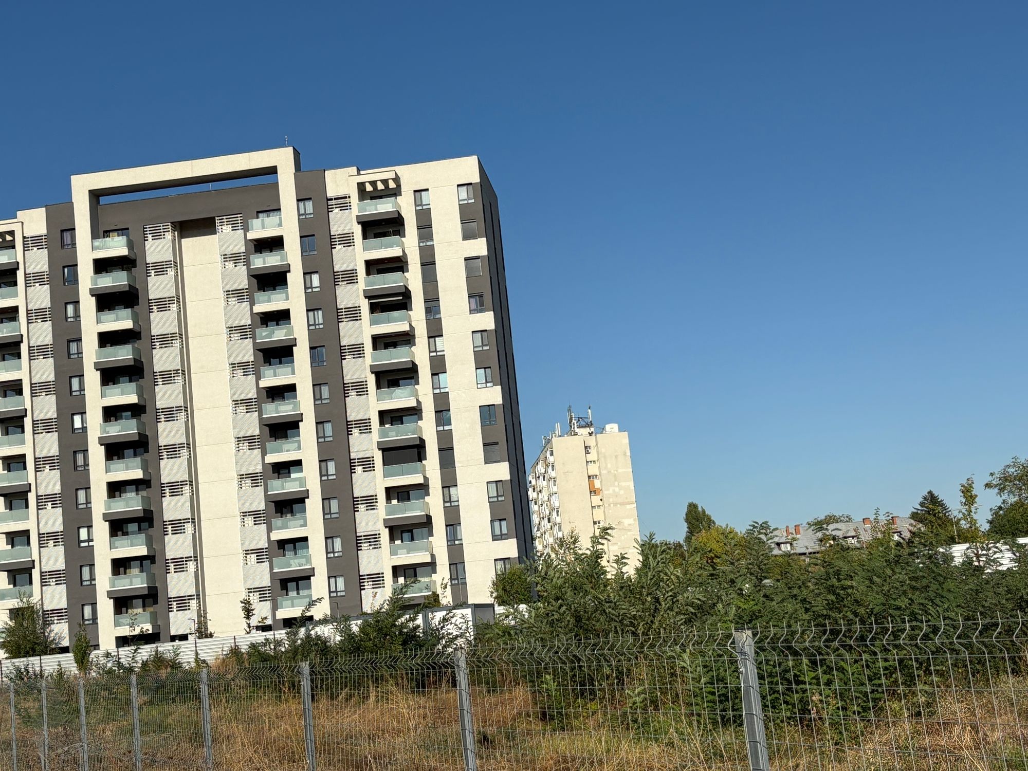 Ambrozie in Bulevardul Laminorului 138B, București, Municipiul București - IMG_4069.jpeg