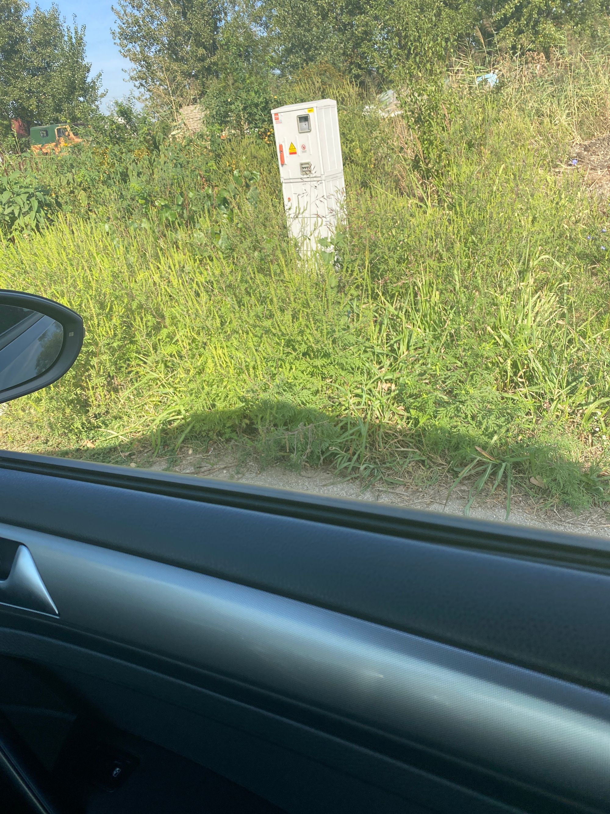 Ambrozie in Icoana, Comuna Ulmi, Județul Giurgiu - image.jpg