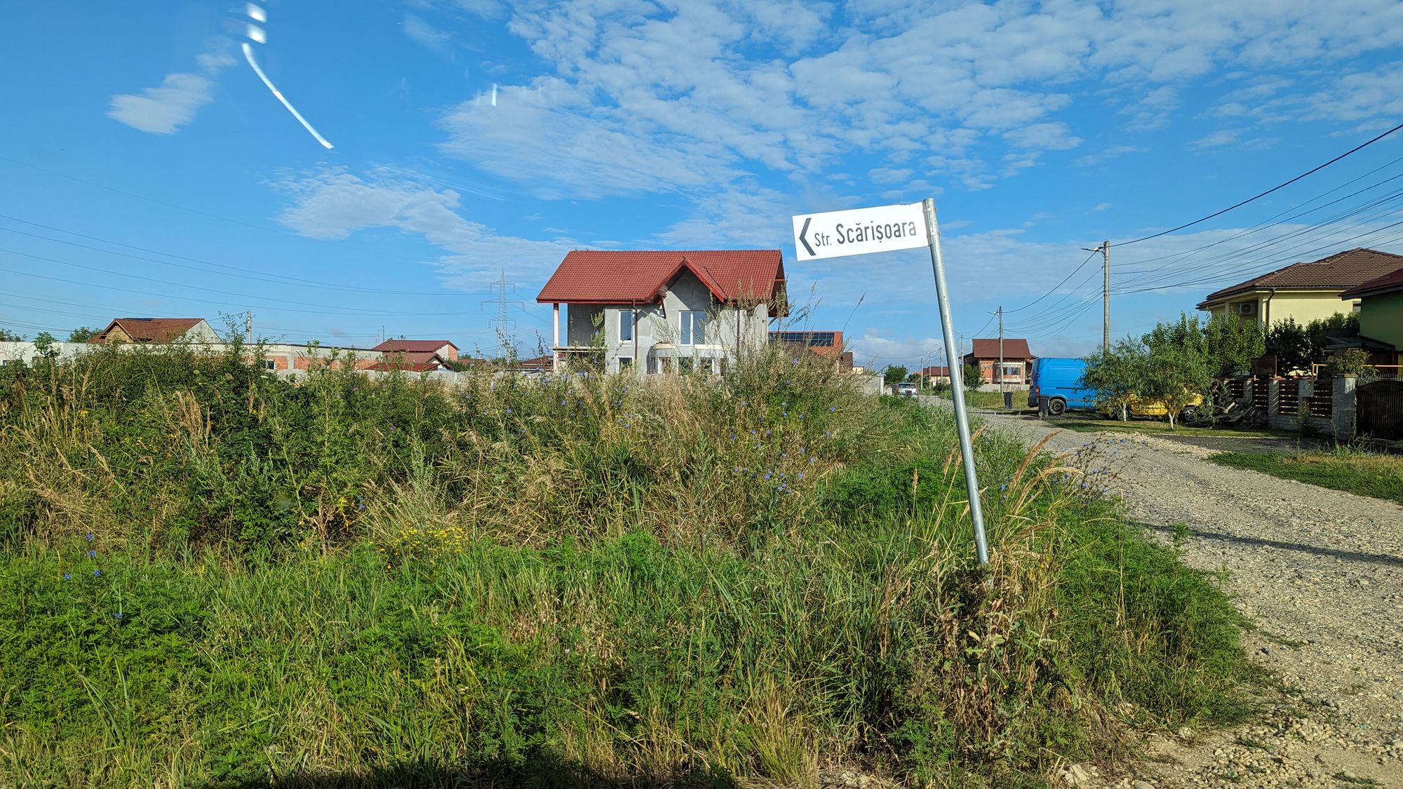 Ambrozie in Strada Comarnic 58, Moșnița Nouă, Comuna Moșnița Nouă, Județul Timiș - PXL_20230802_060638687.jpg