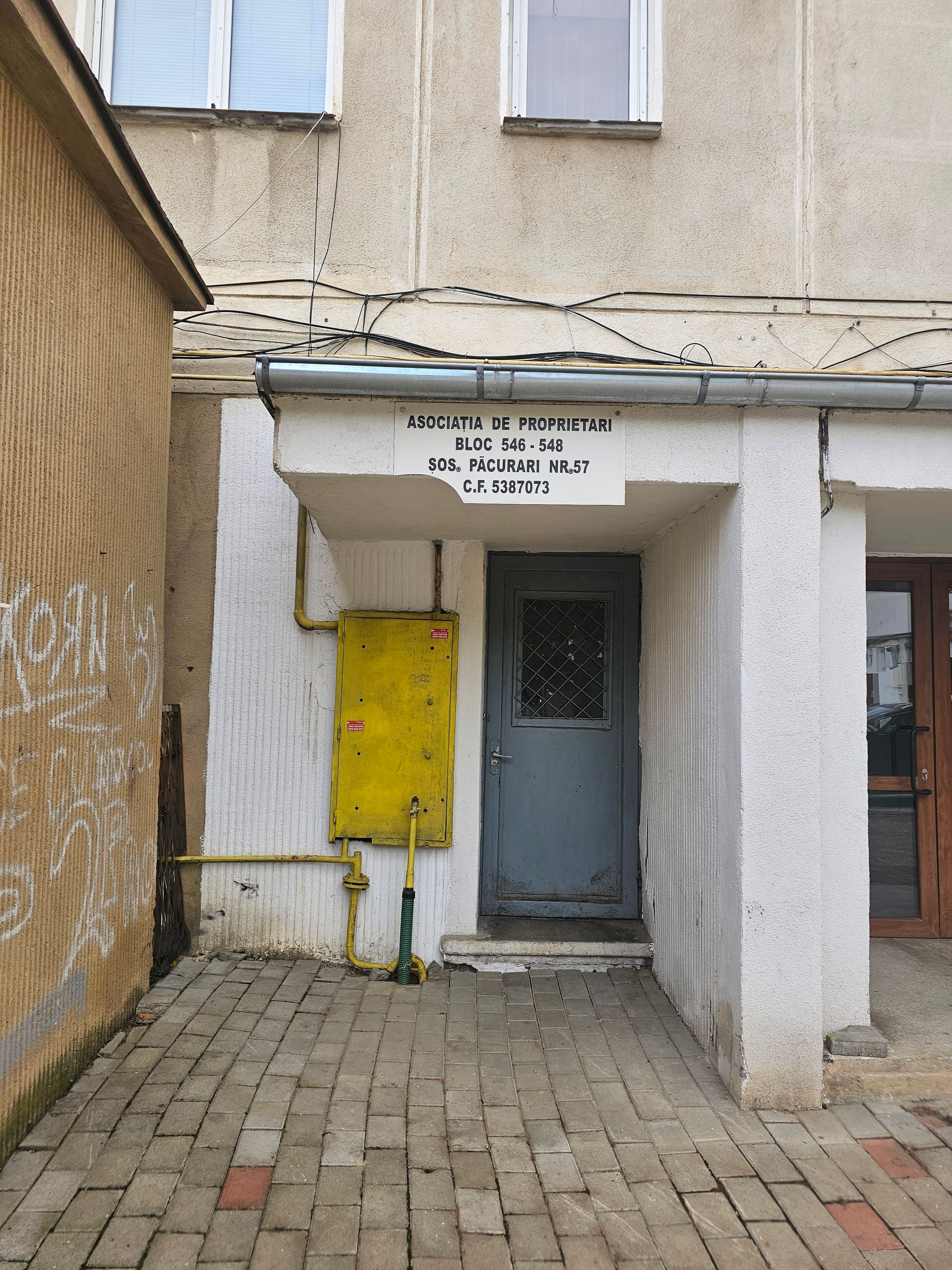 Ambrozie in Șoseaua Păcurari nr.57 bloc 548, scara A, Iași, Municipiu Iași, Județul Iași